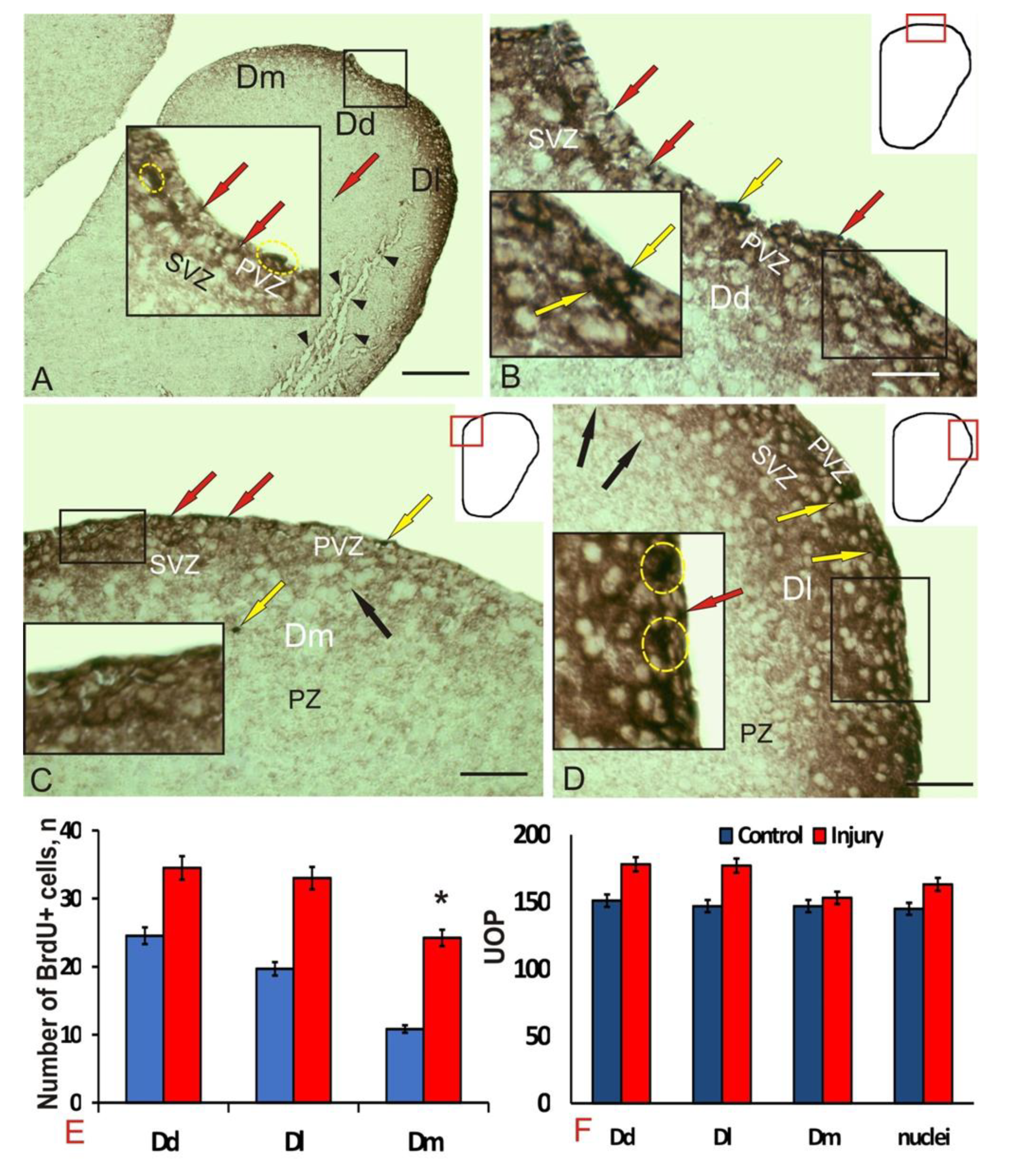 Brainsci 10 00222 g002 Brainsci 10 00222 g002