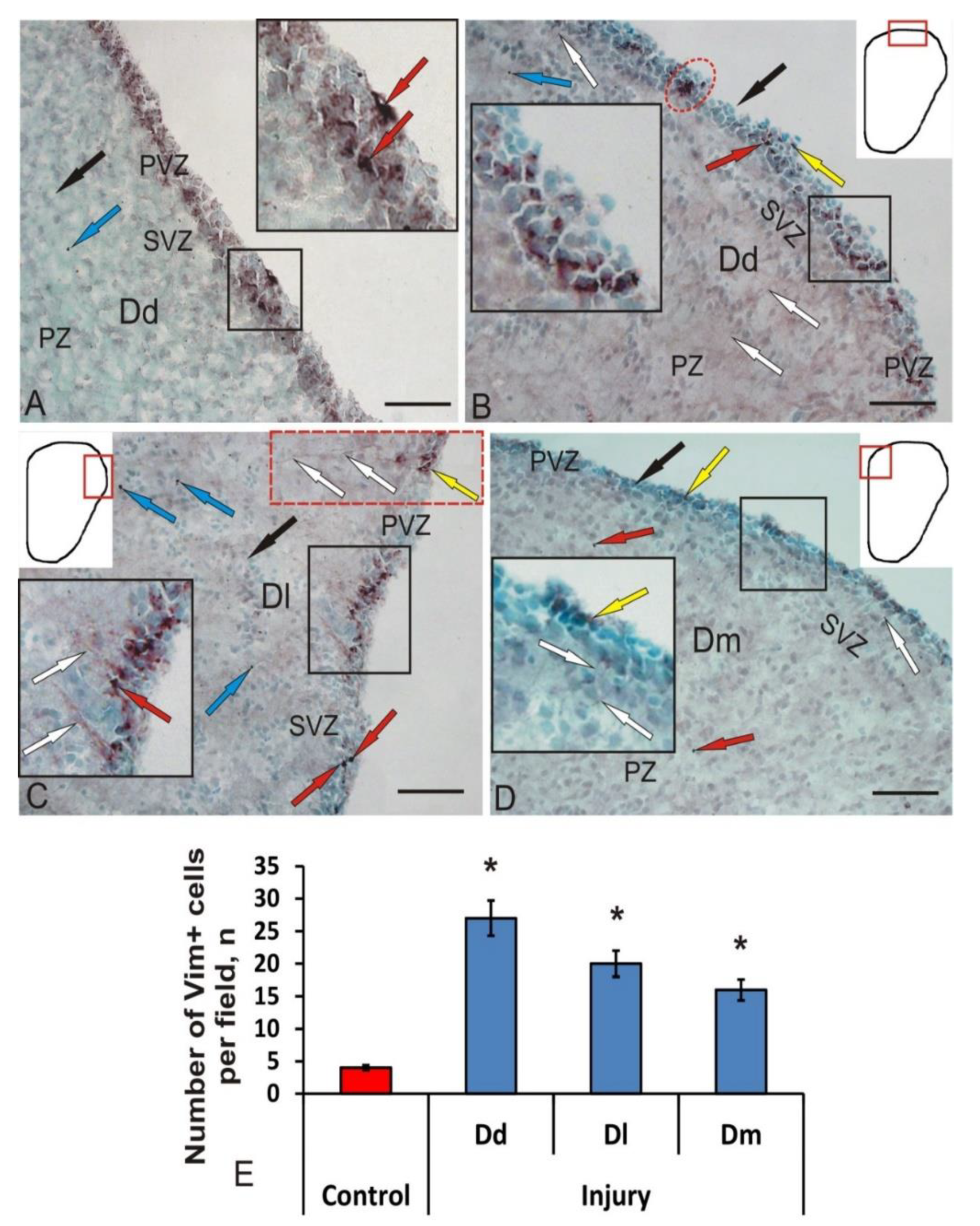 Brainsci 10 00222 g004 Brainsci 10 00222 g004