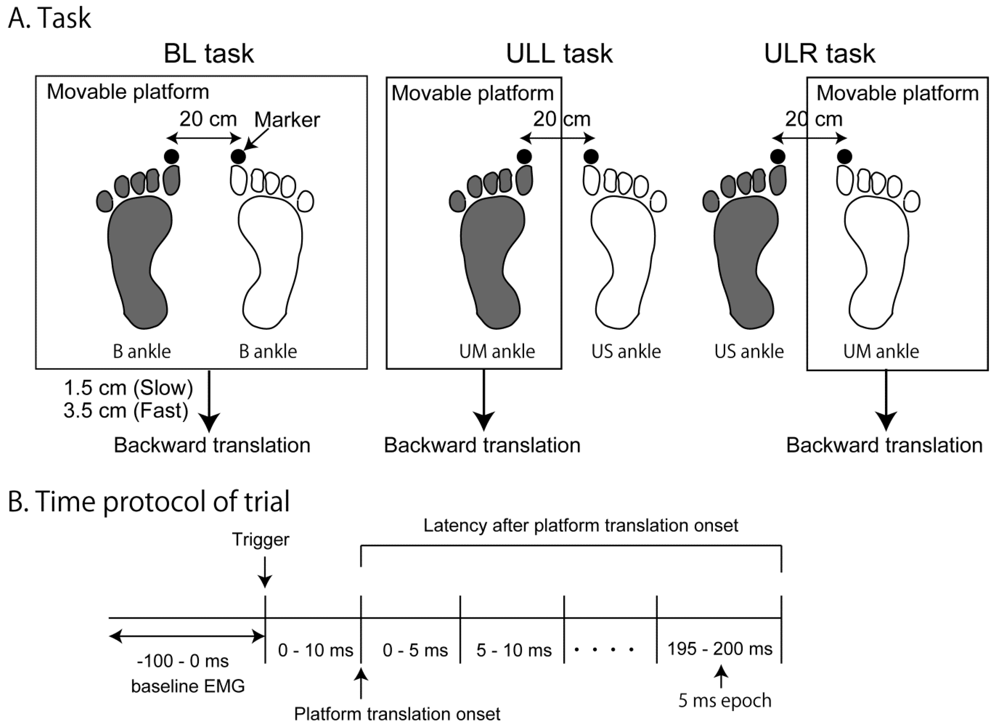 Brainsci 10 00230 g001 Brainsci 10 00230 g001