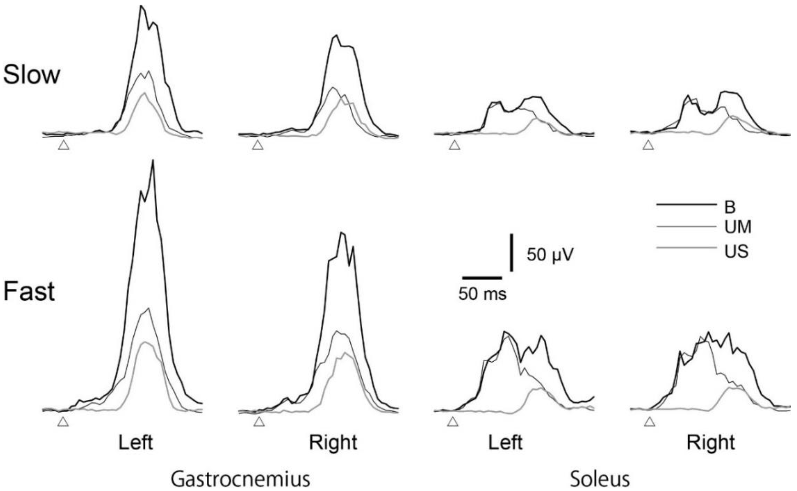 Brainsci 10 00230 g005 Brainsci 10 00230 g005