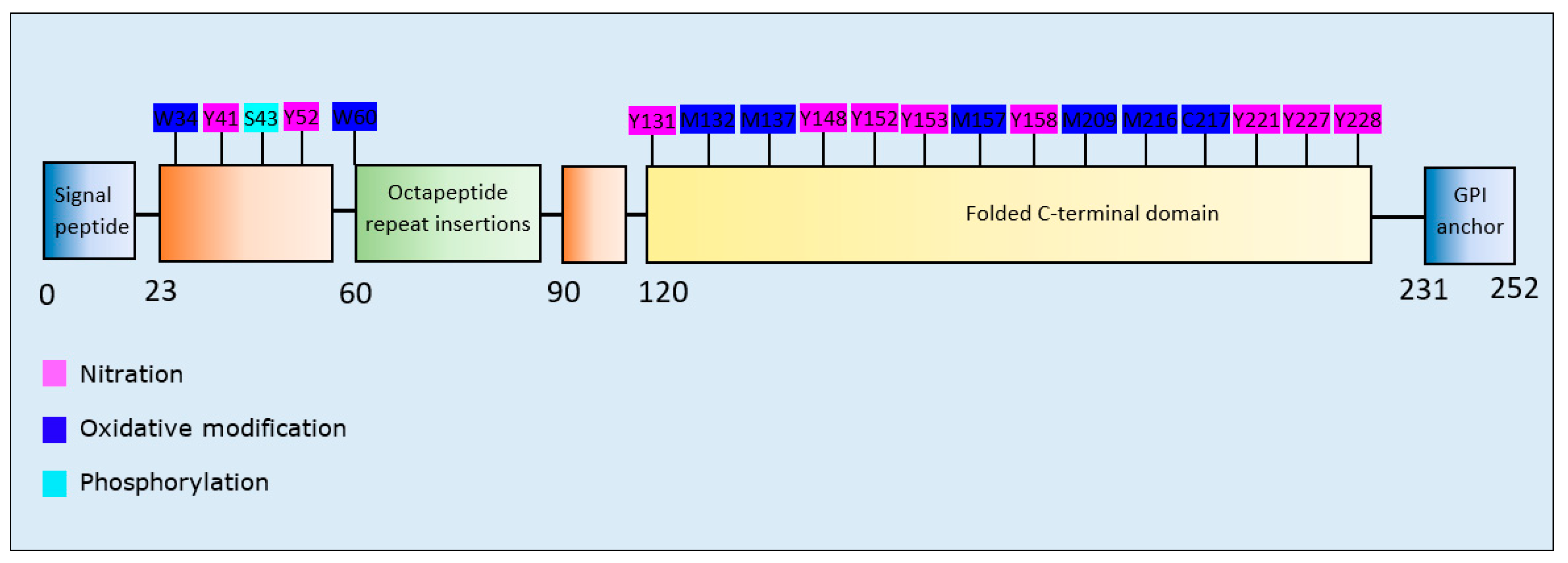 Brainsci 10 00232 g009