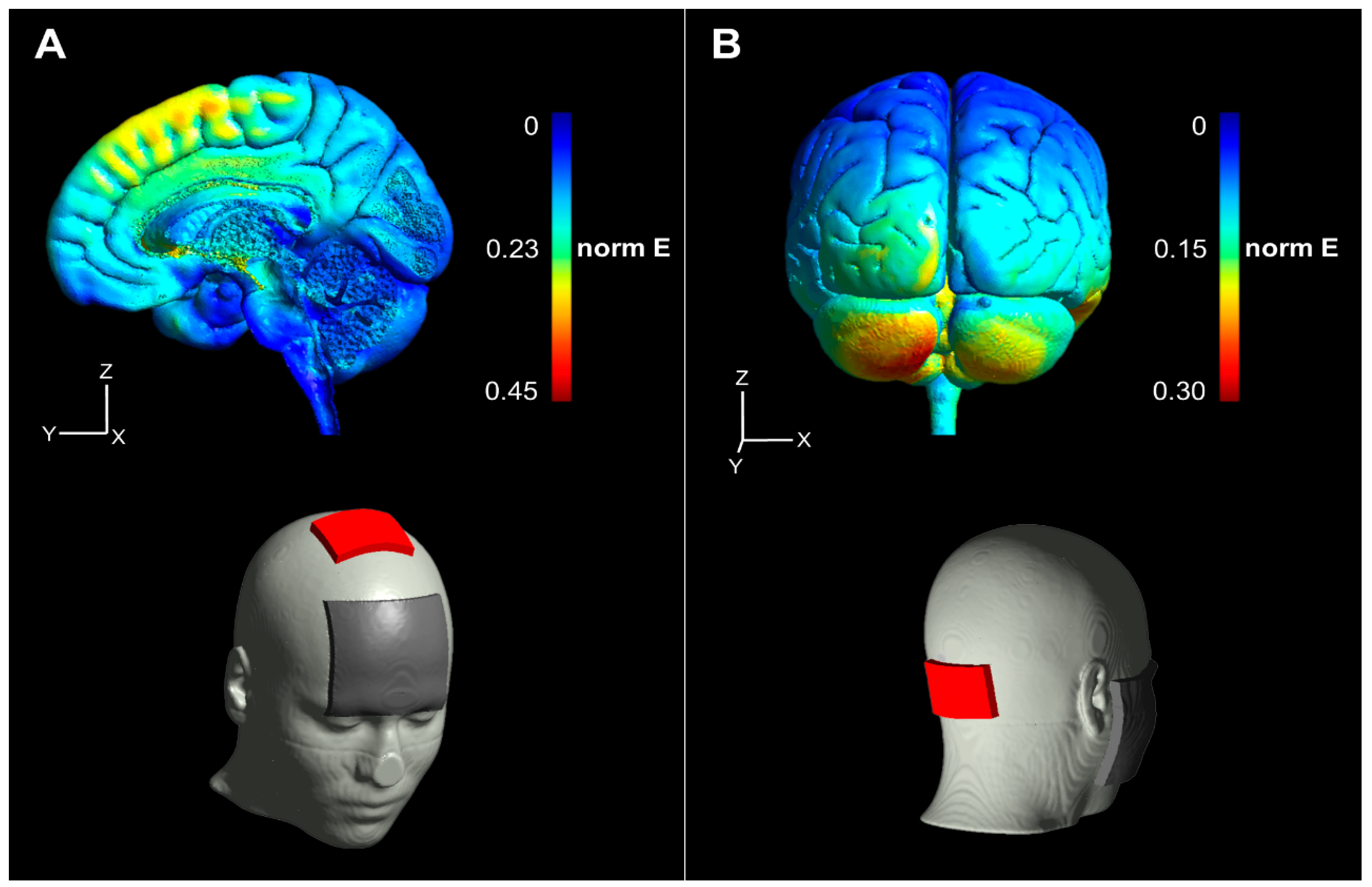 Brainsci 10 00235 g002