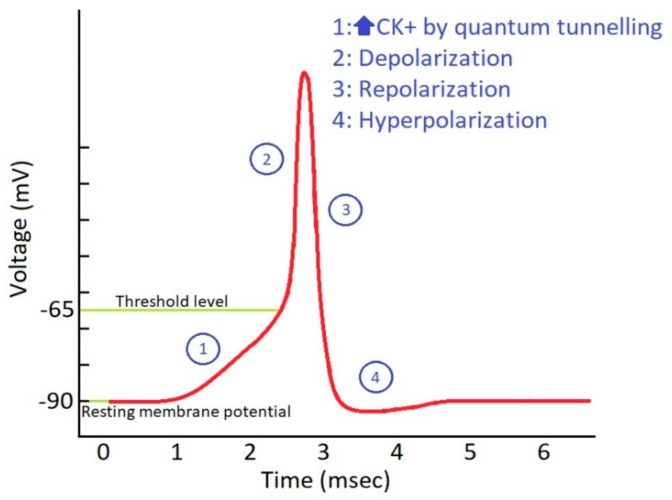 Brainsci 10 00241 g001 Brainsci 10 00241 g001