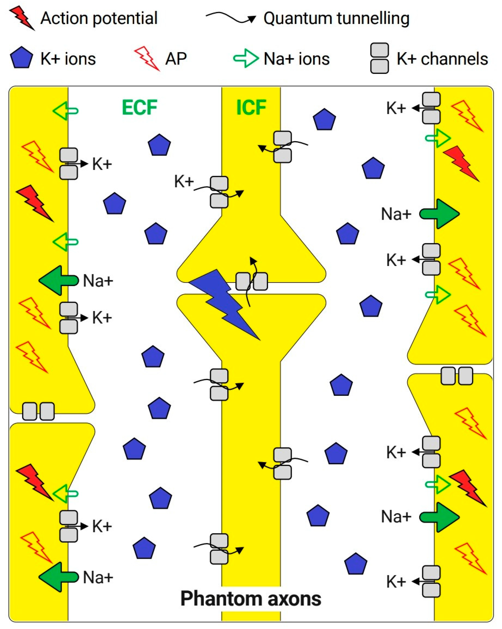 Brainsci 10 00241 g002 Brainsci 10 00241 g002