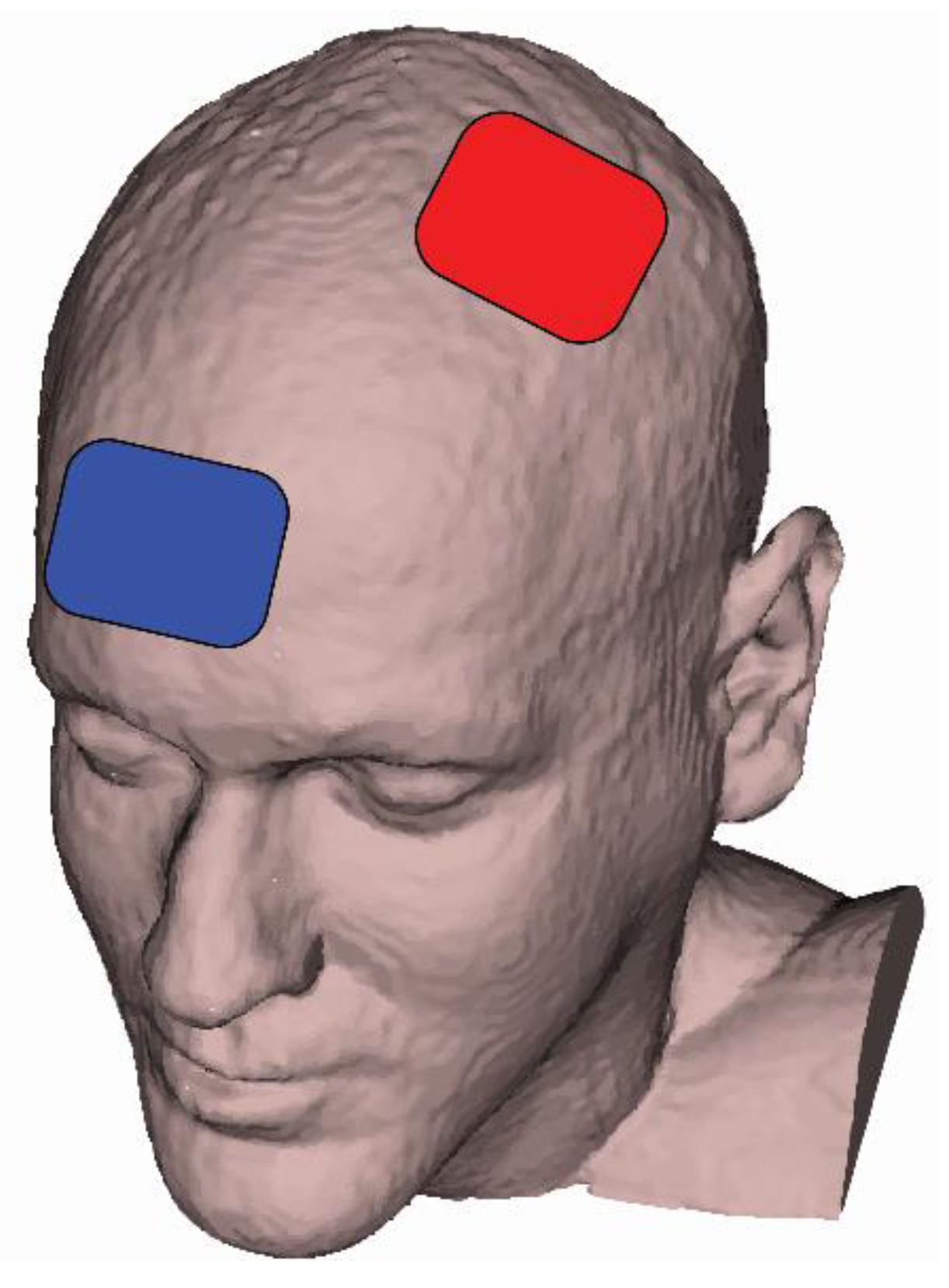 Brainsci 10 00244 g001