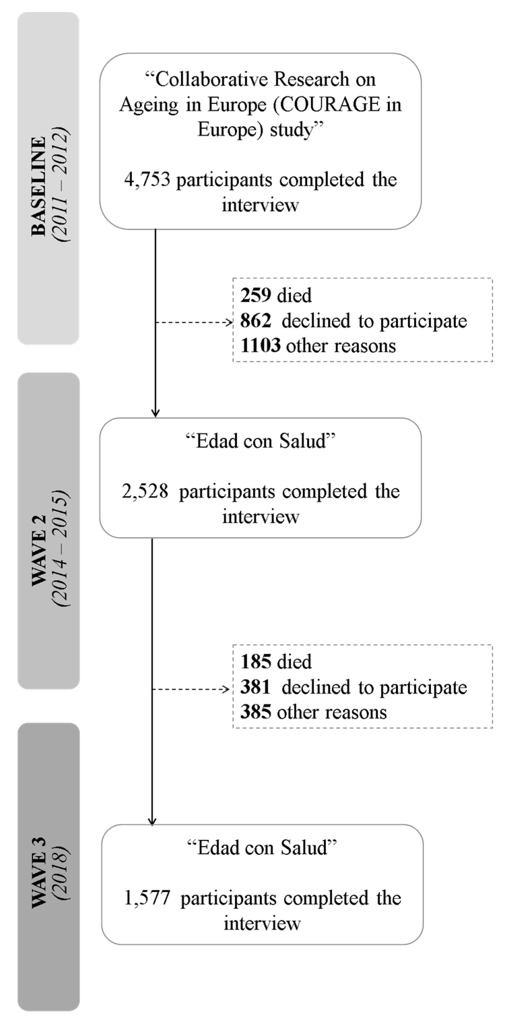 Brainsci 10 00249 g001