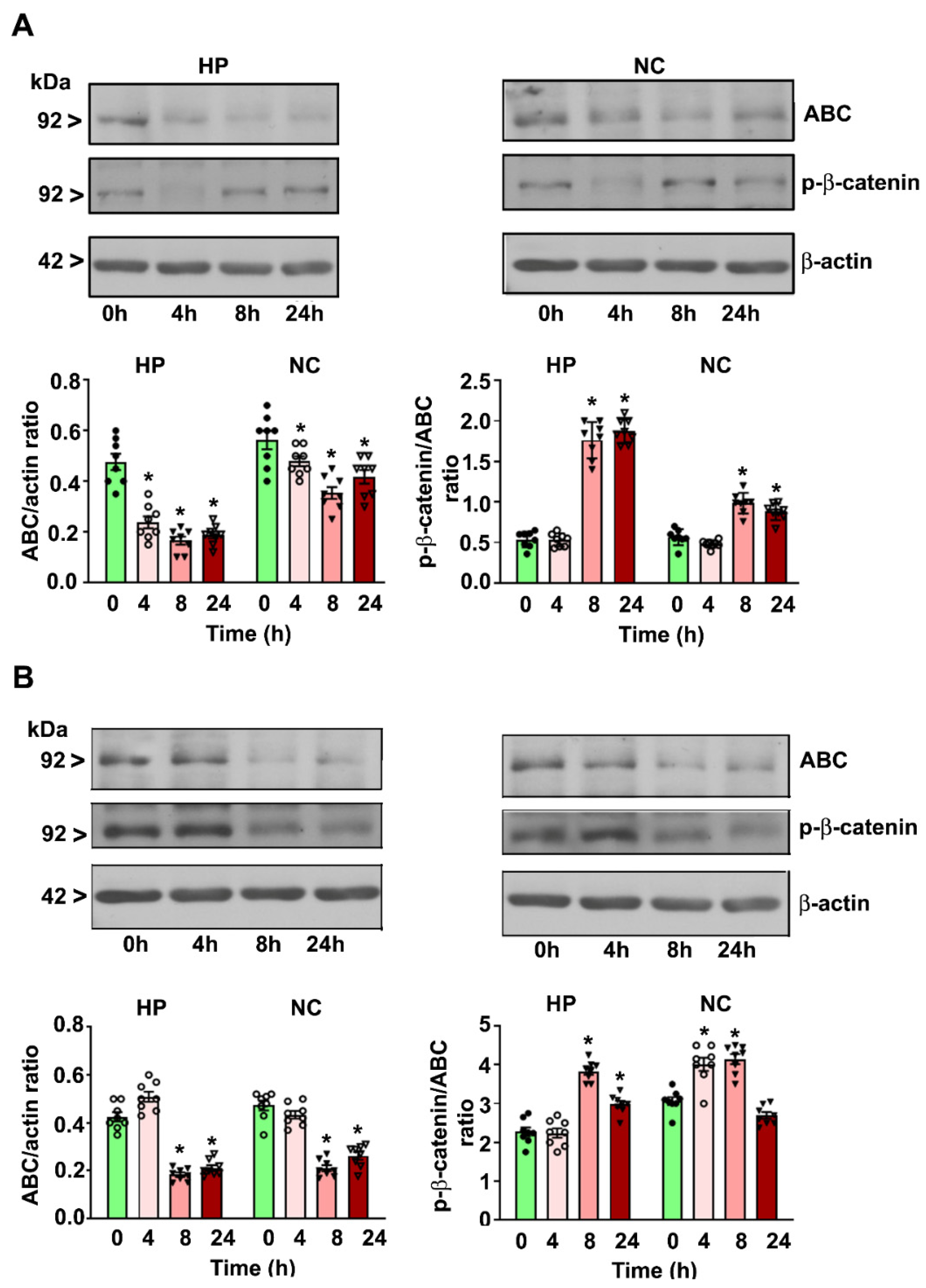 Brainsci 10 00271 g002 Brainsci 10 00271 g002