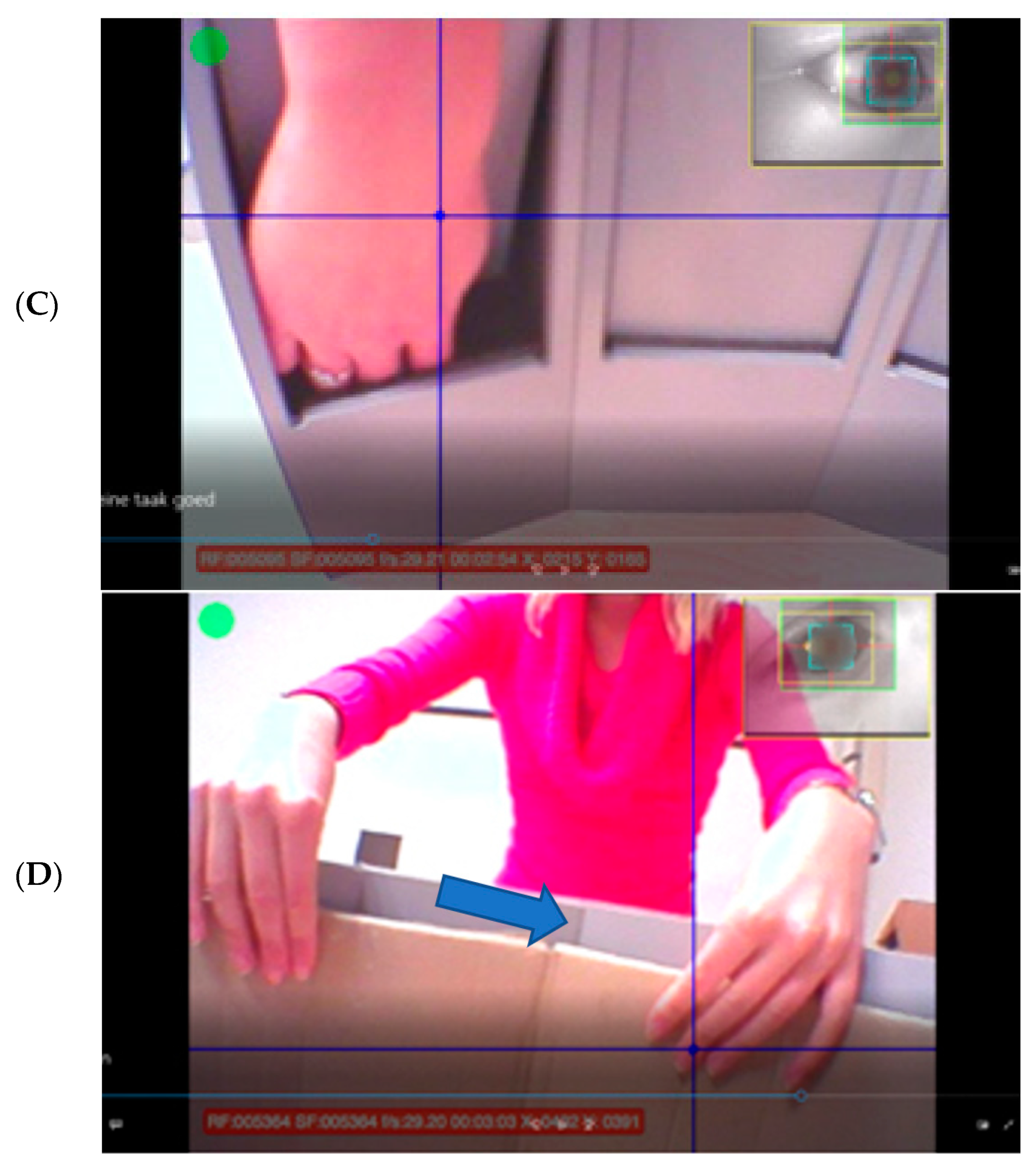 Brainsci 10 00279 g001b