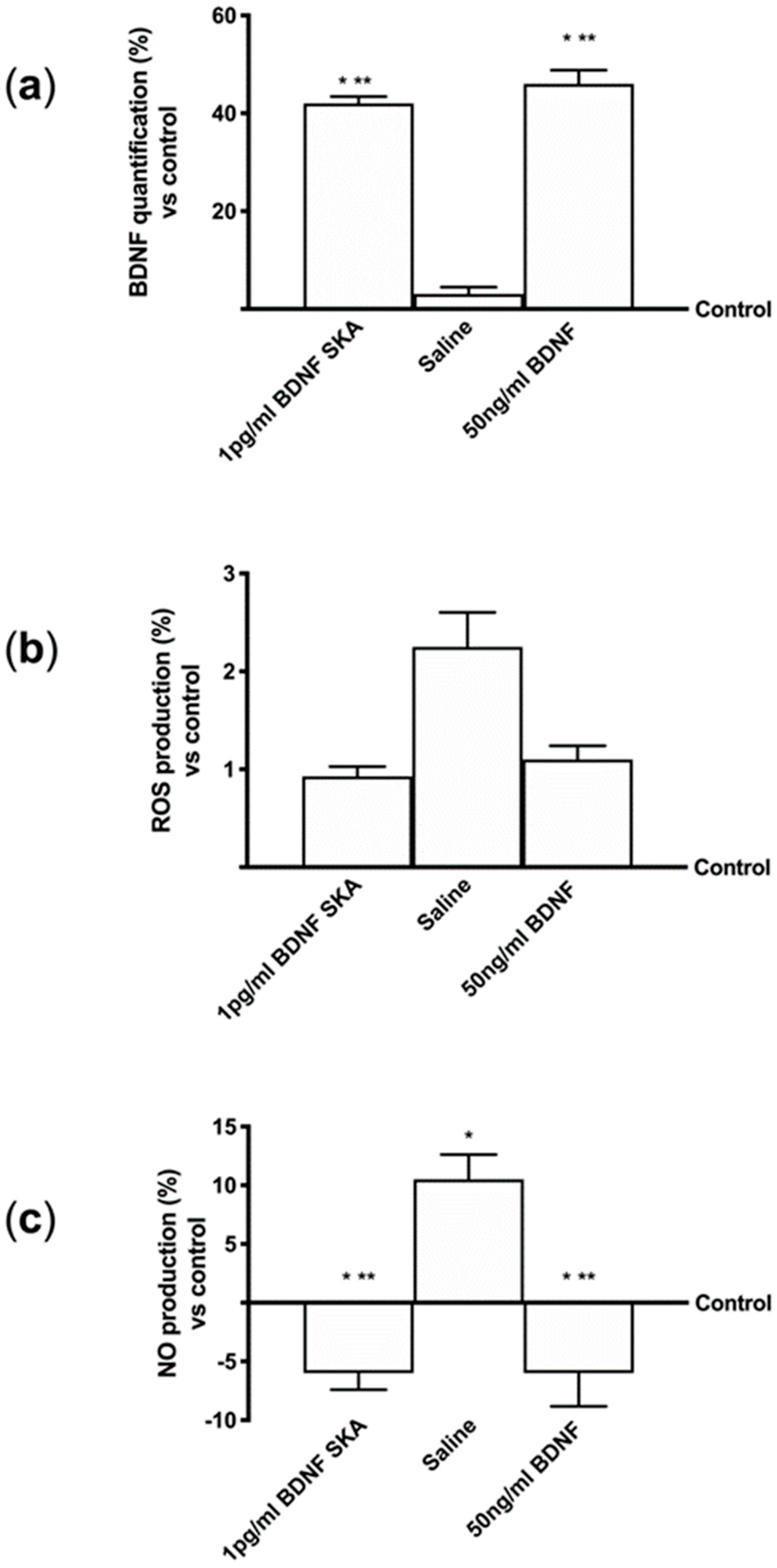 Brainsci 10 00285 g001