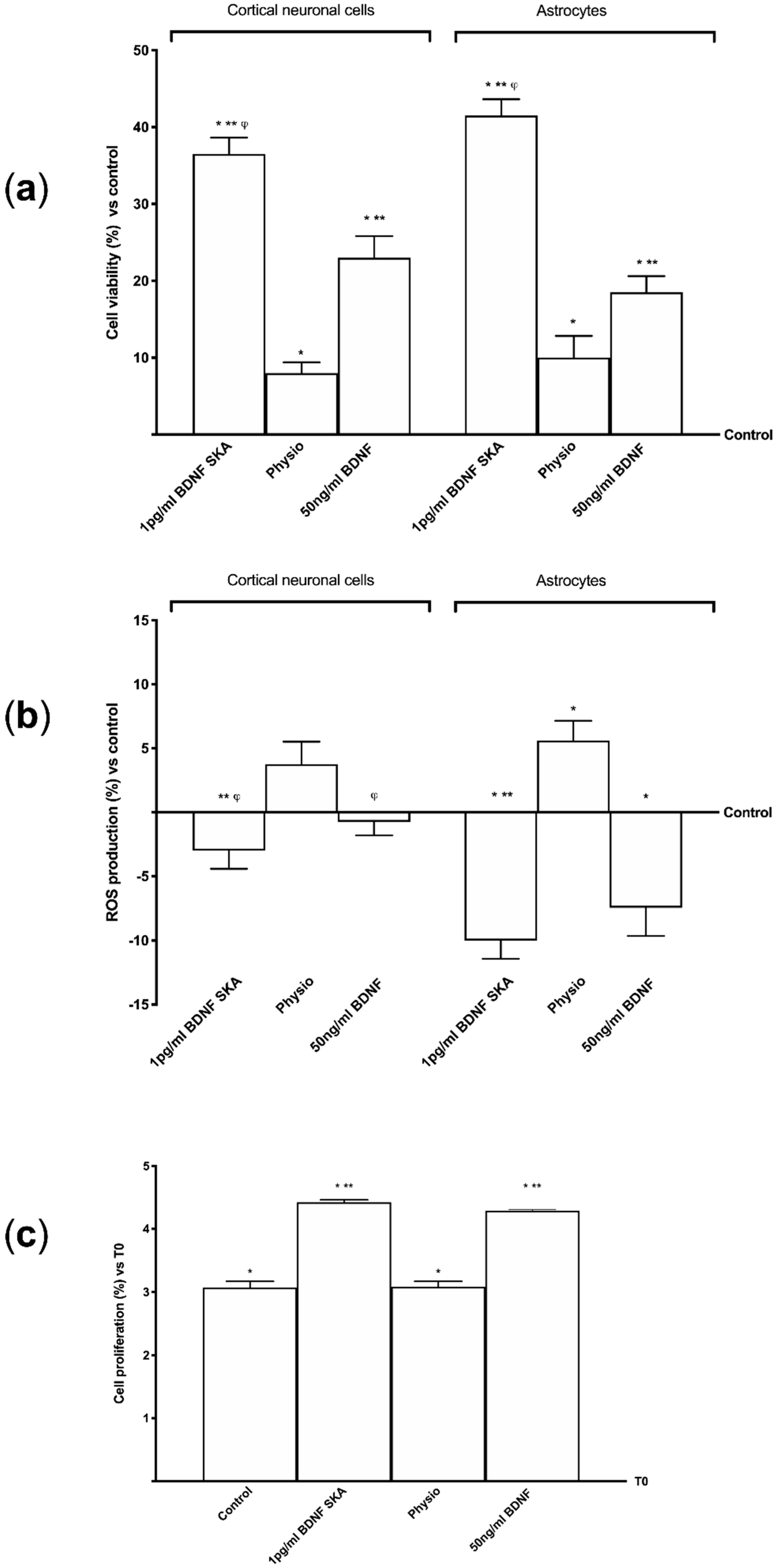 Brainsci 10 00285 g002
