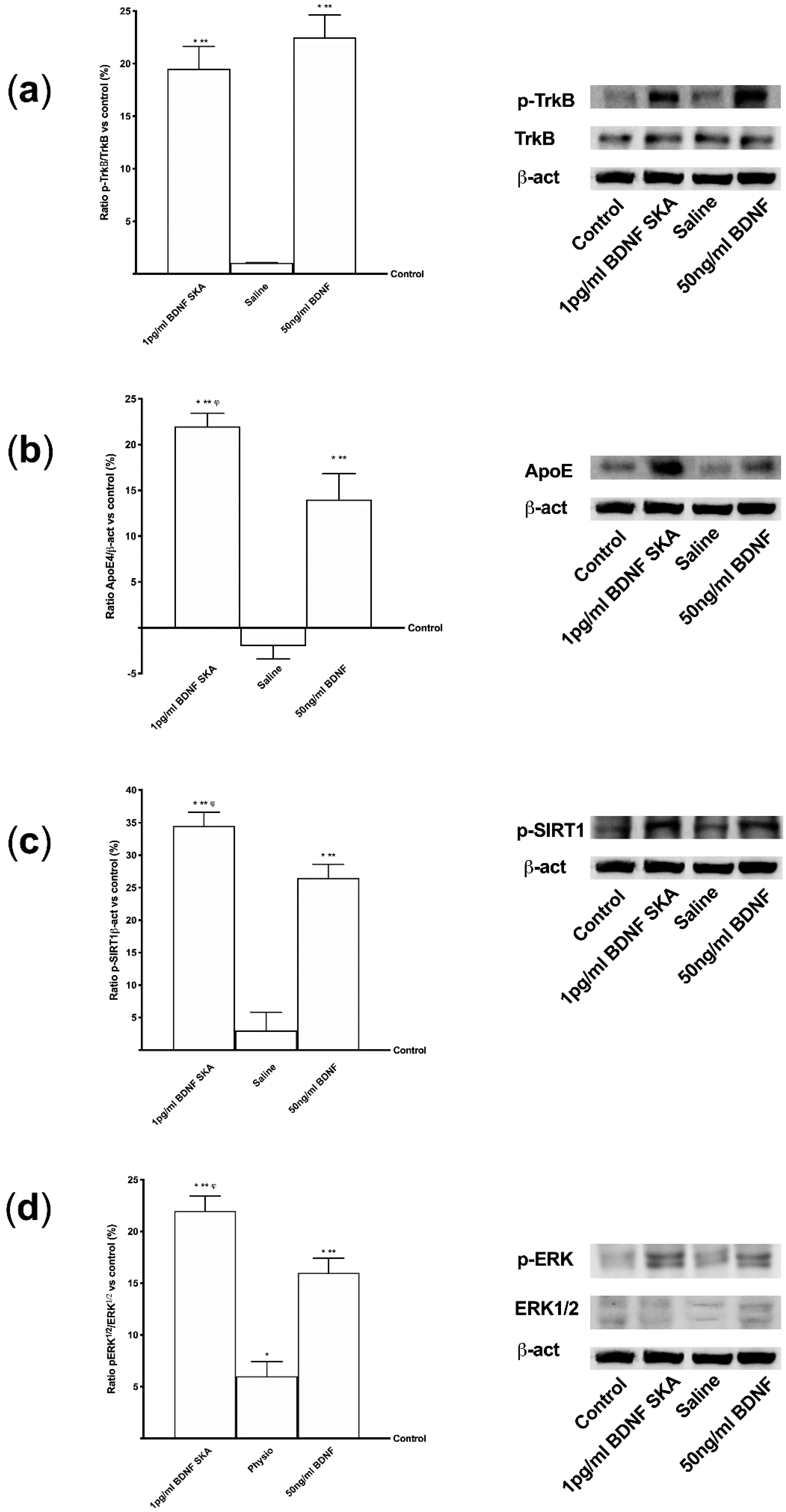 Brainsci 10 00285 g003