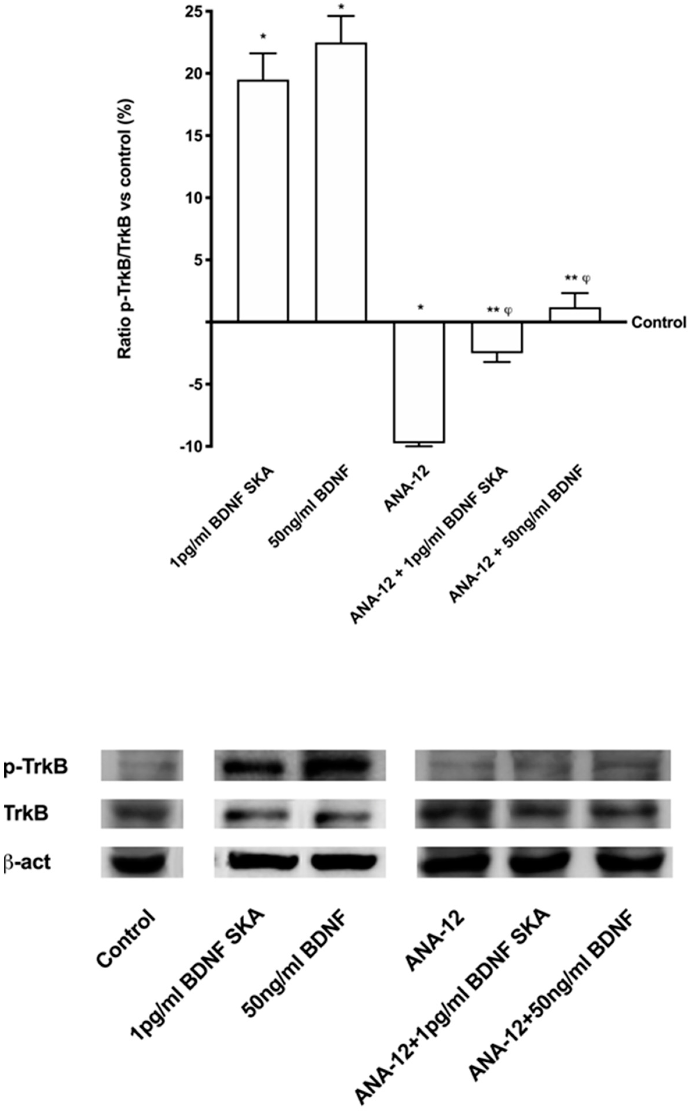 Brainsci 10 00285 g004
