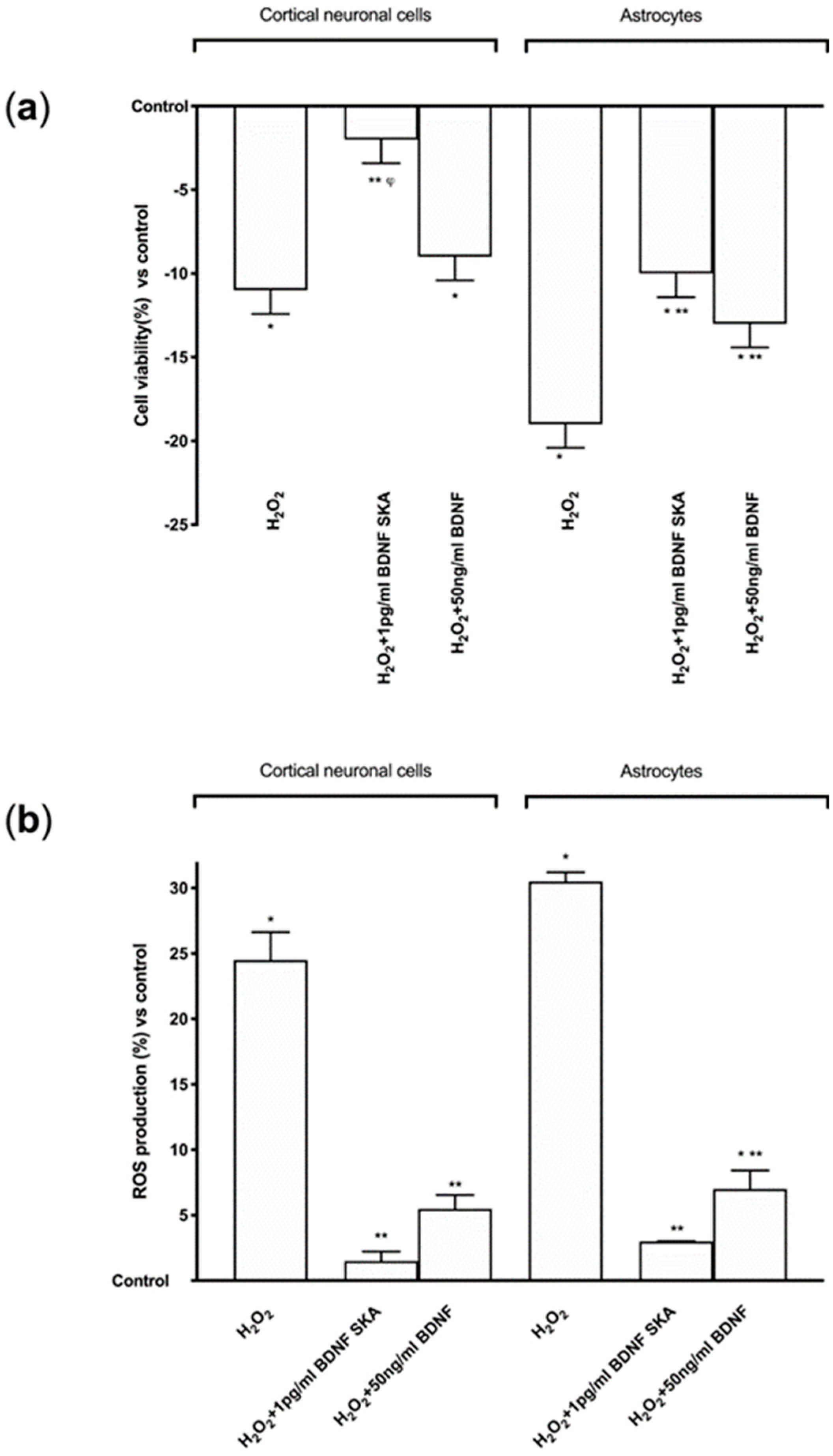 Brainsci 10 00285 g005