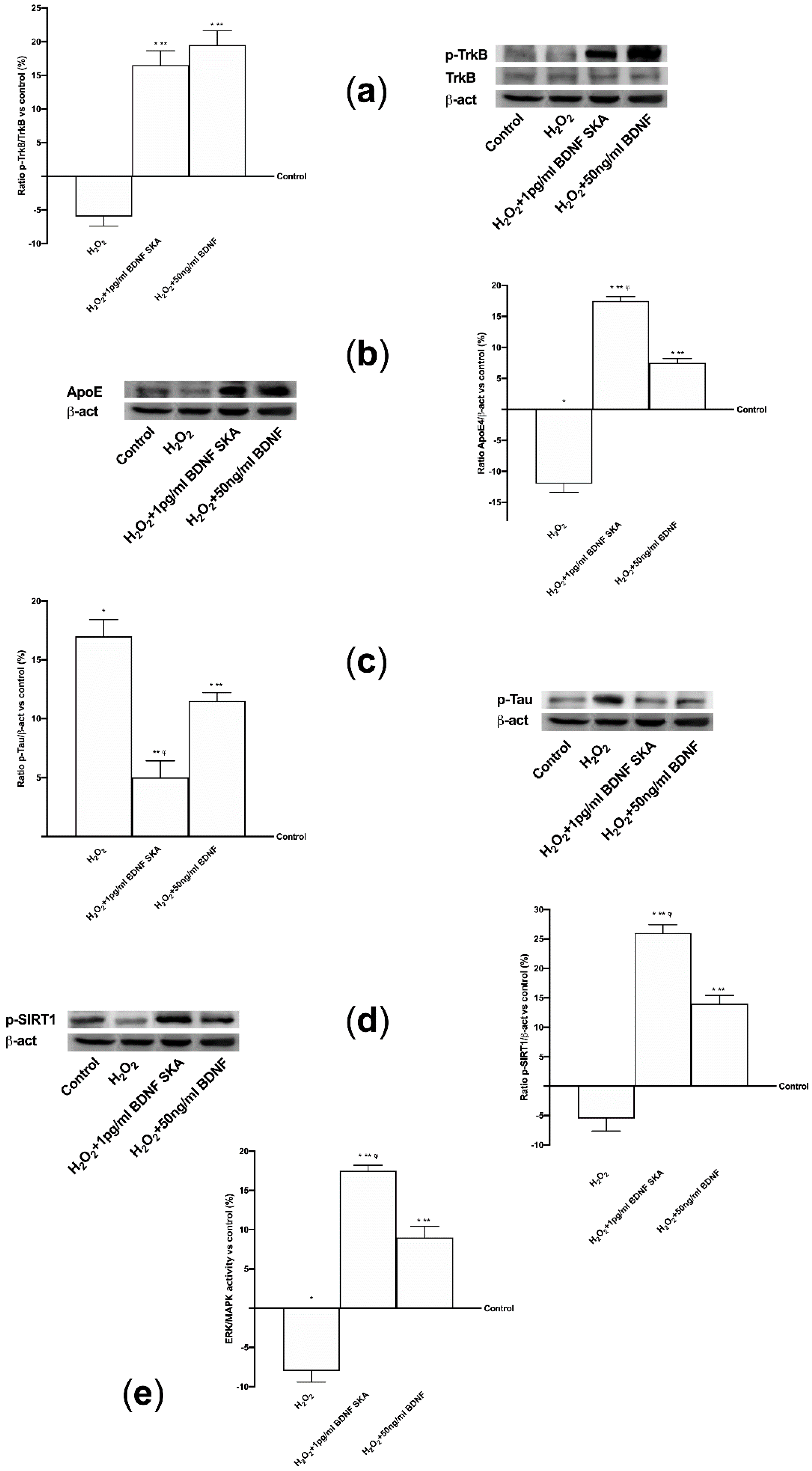 Brainsci 10 00285 g006