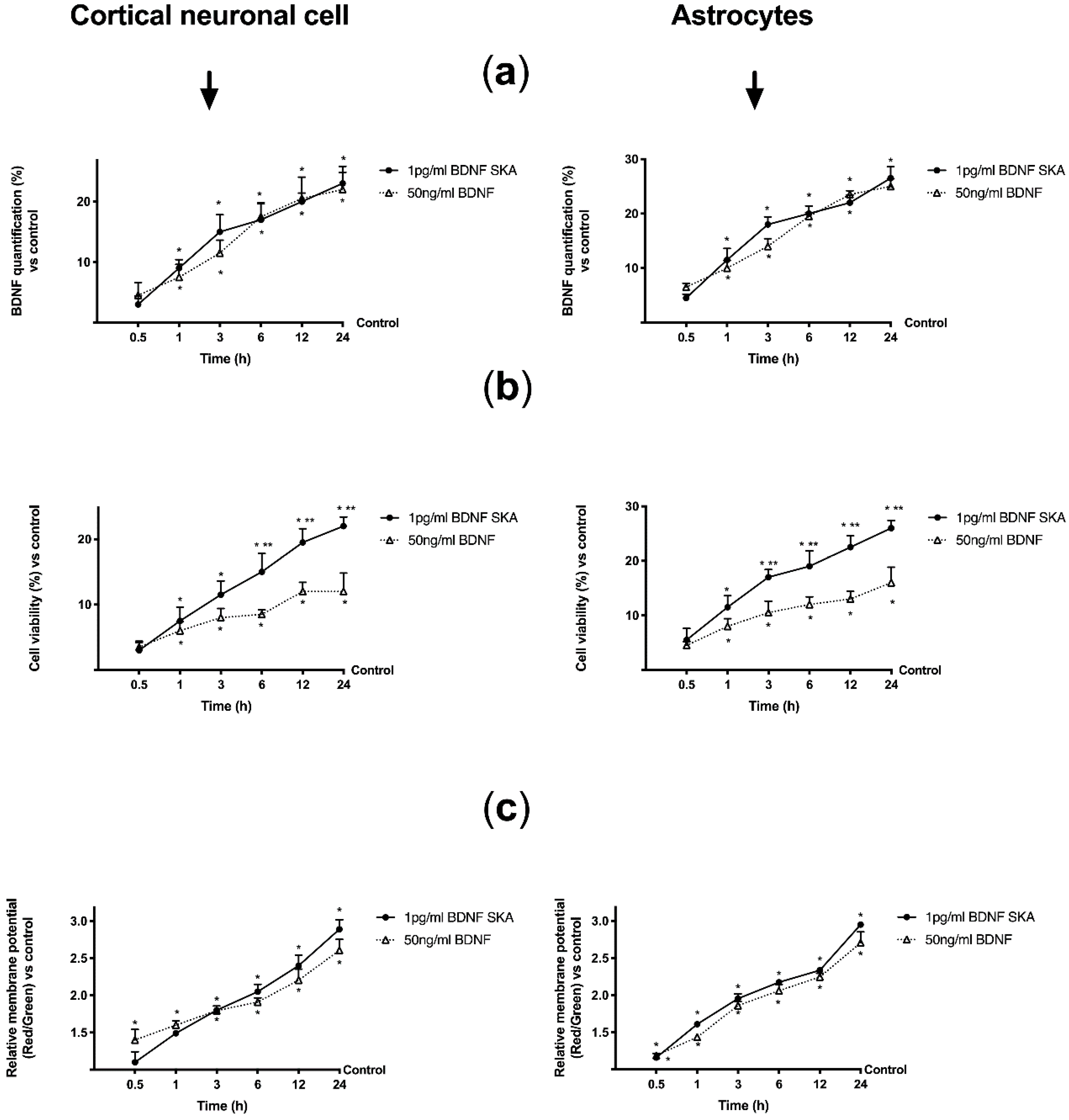 Brainsci 10 00285 g007