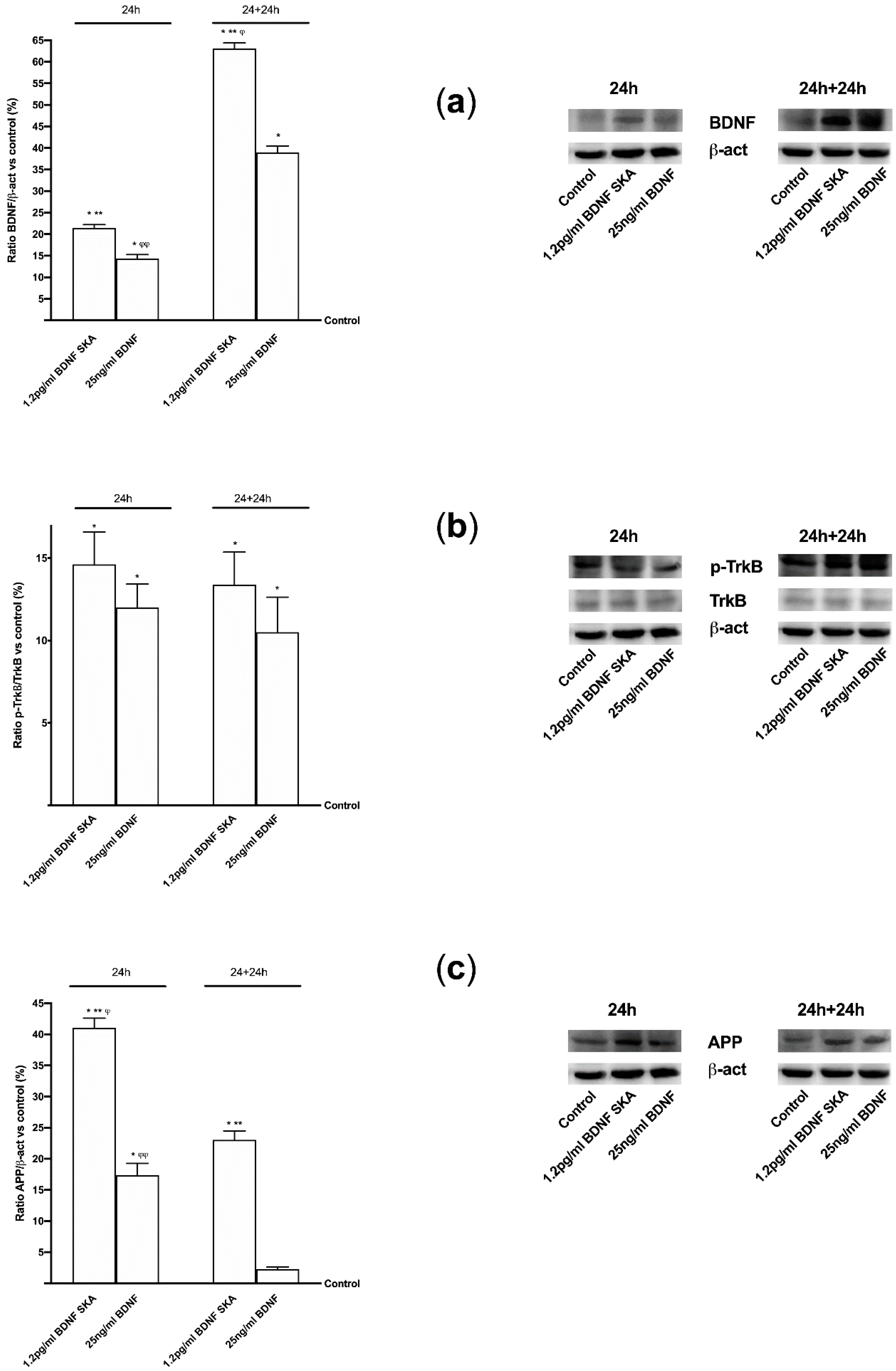 Brainsci 10 00285 g009