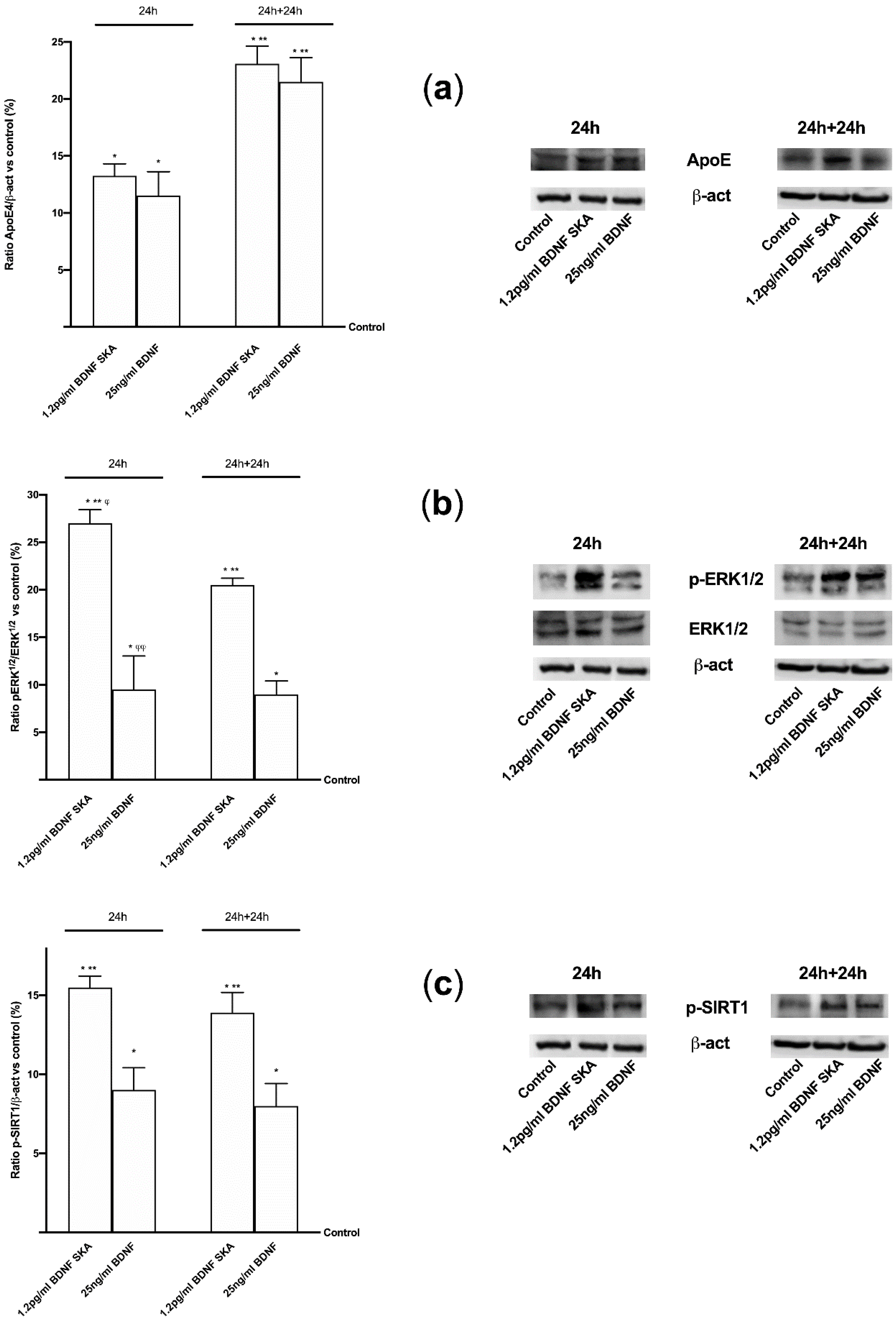 Brainsci 10 00285 g010