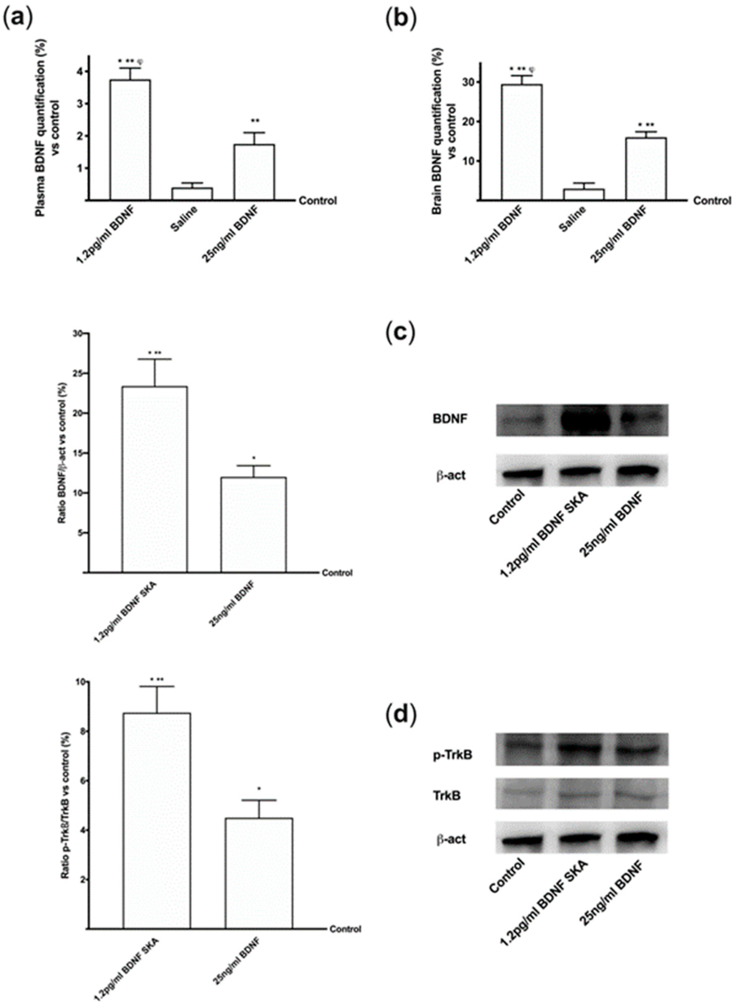 Brainsci 10 00285 g011