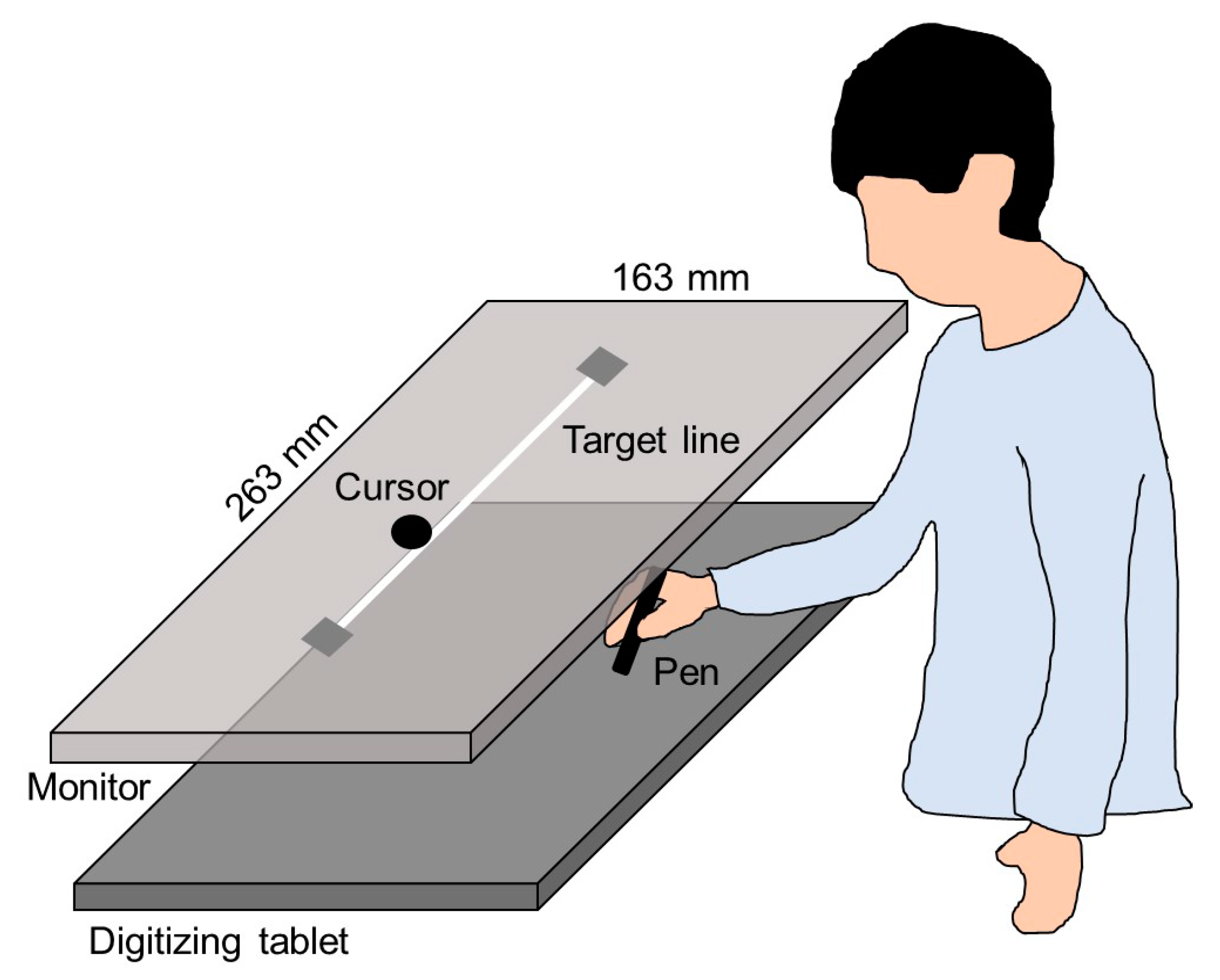 Brainsci 10 00294 g002