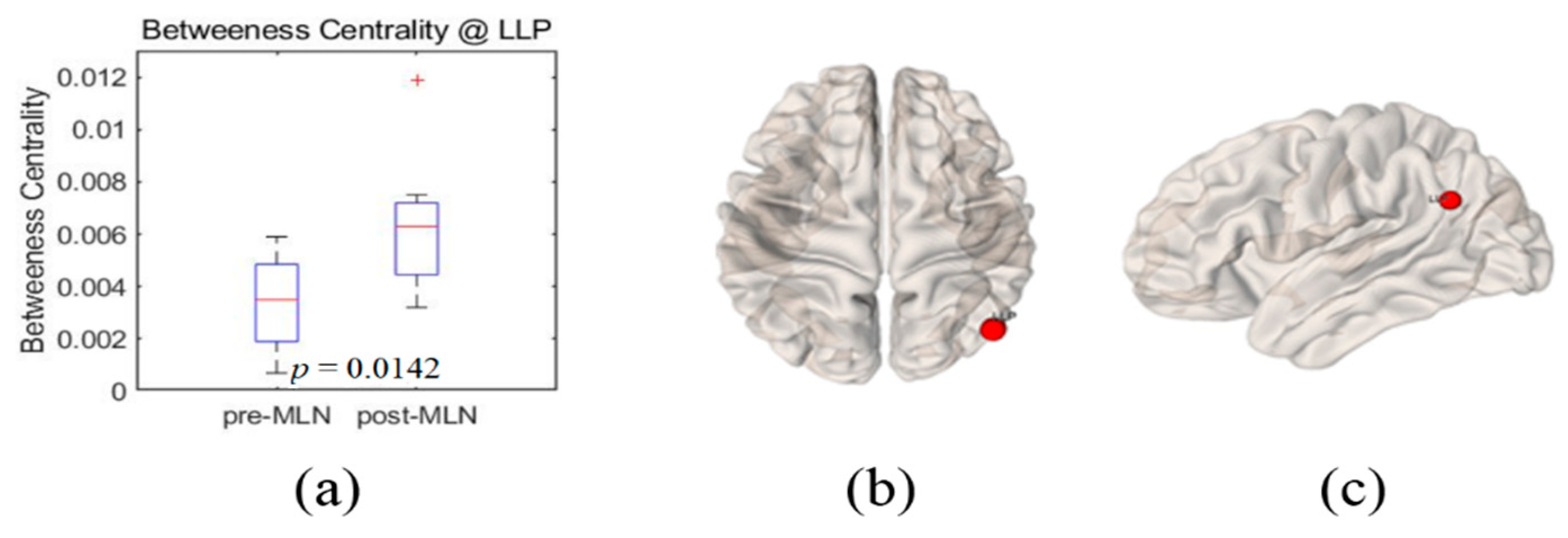 Brainsci 10 00295 g005