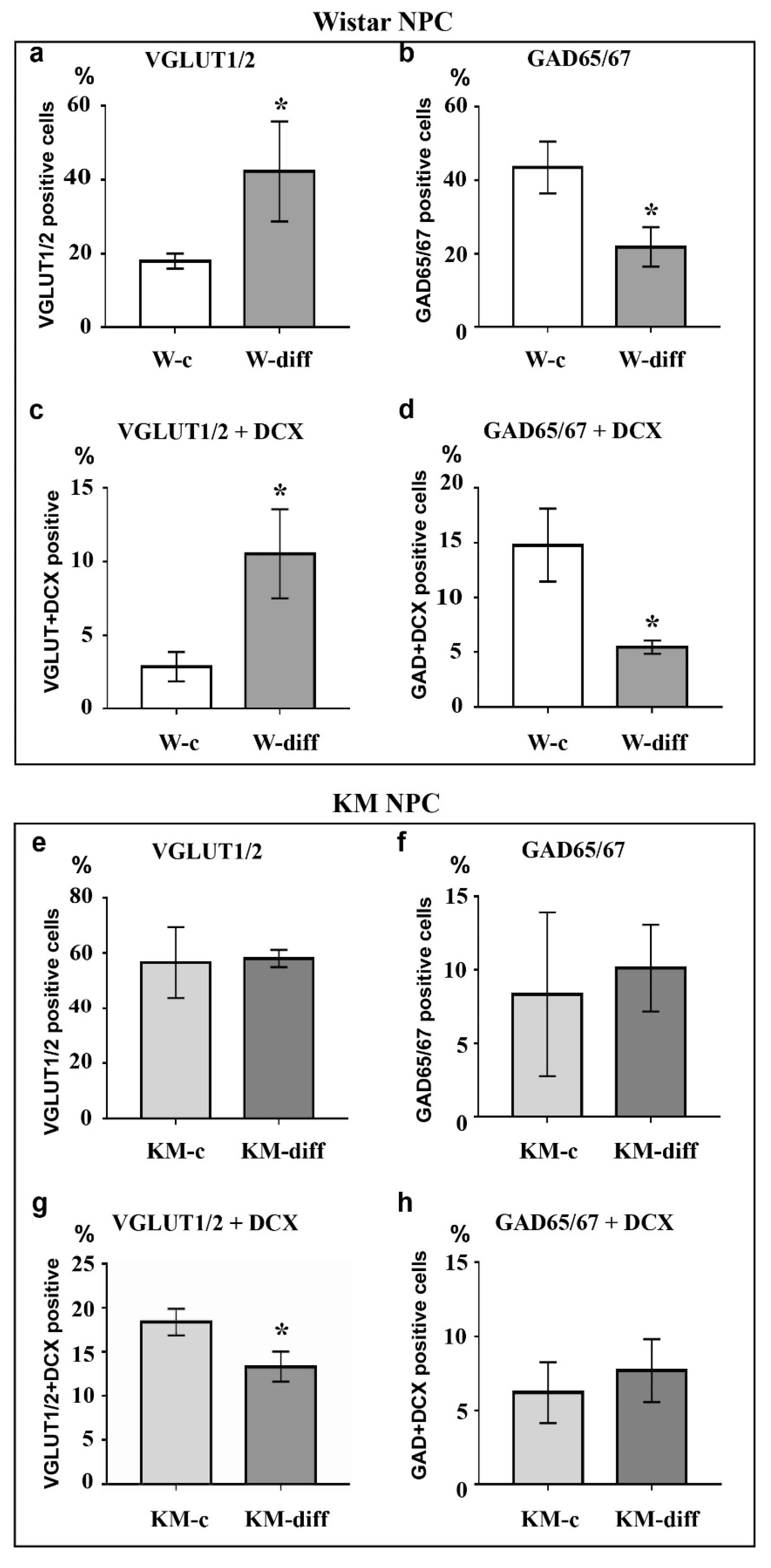 Brainsci 10 00311 g004
