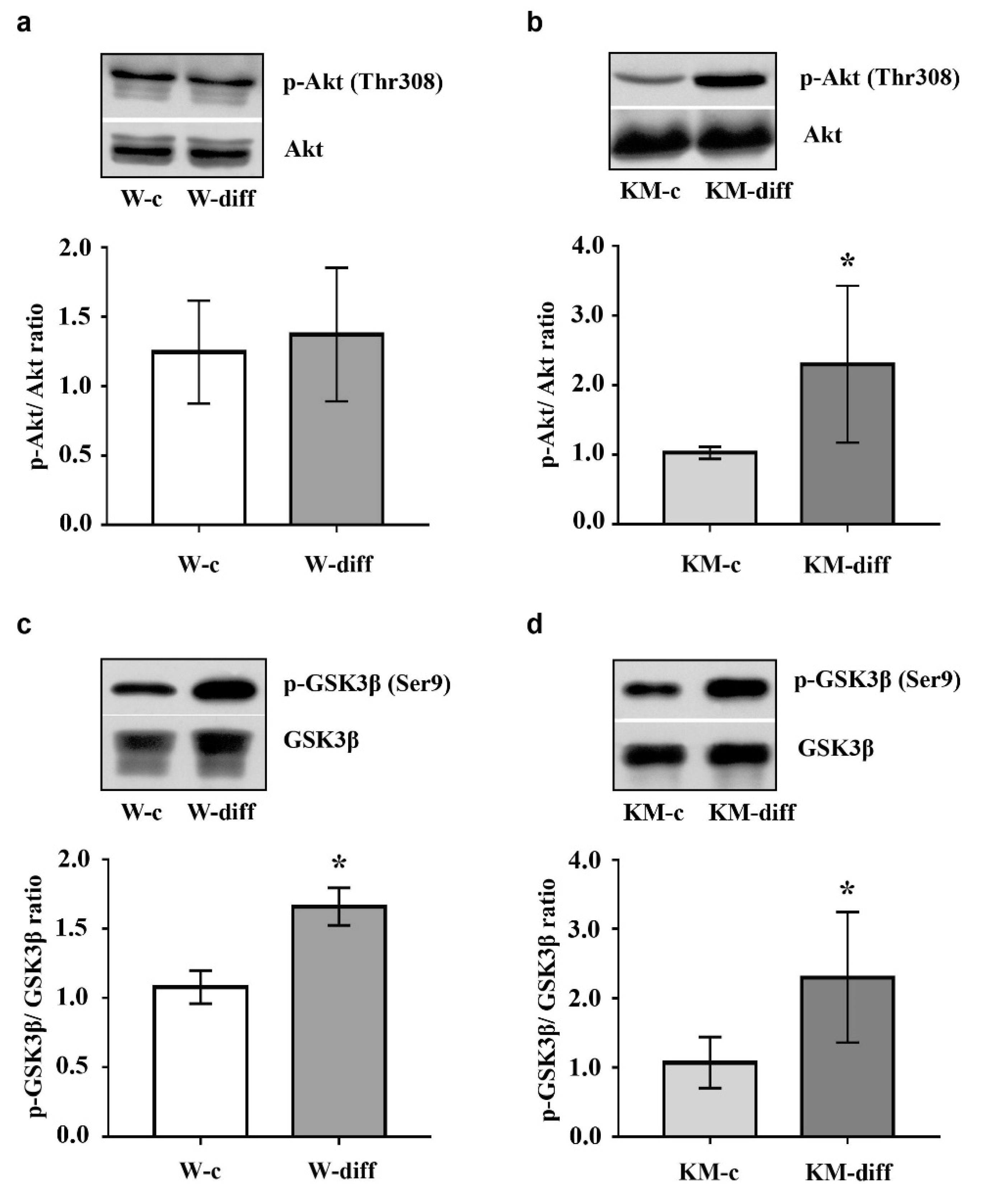 Brainsci 10 00311 g006