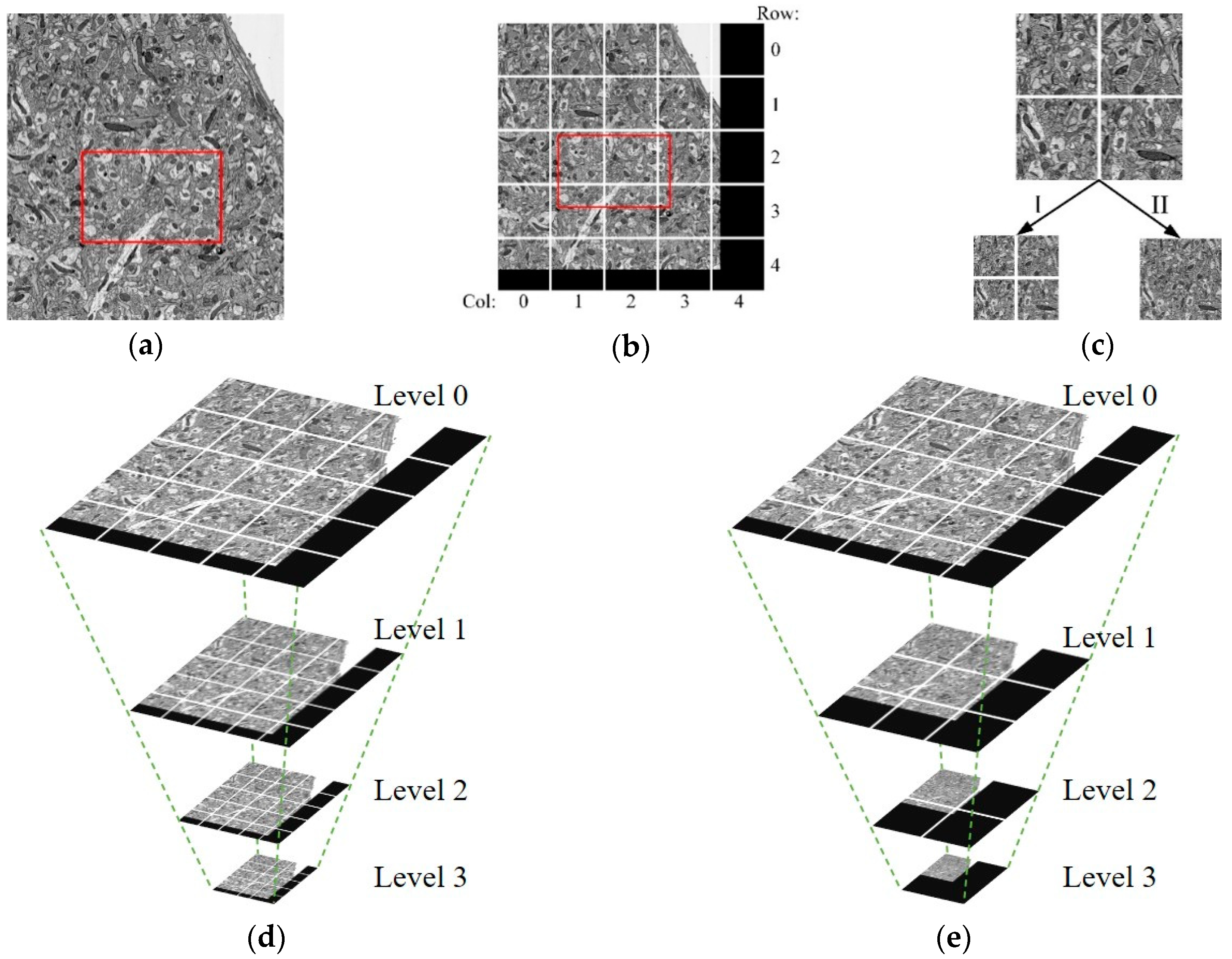 Brainsci 10 00314 g002