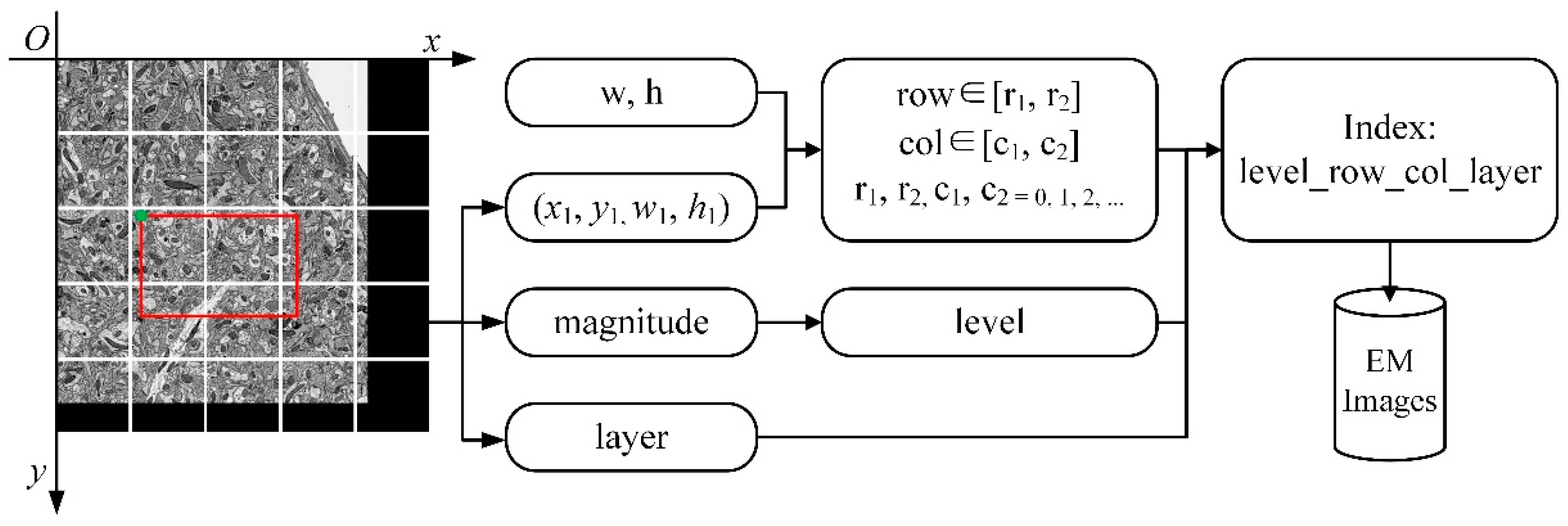 Brainsci 10 00314 g003