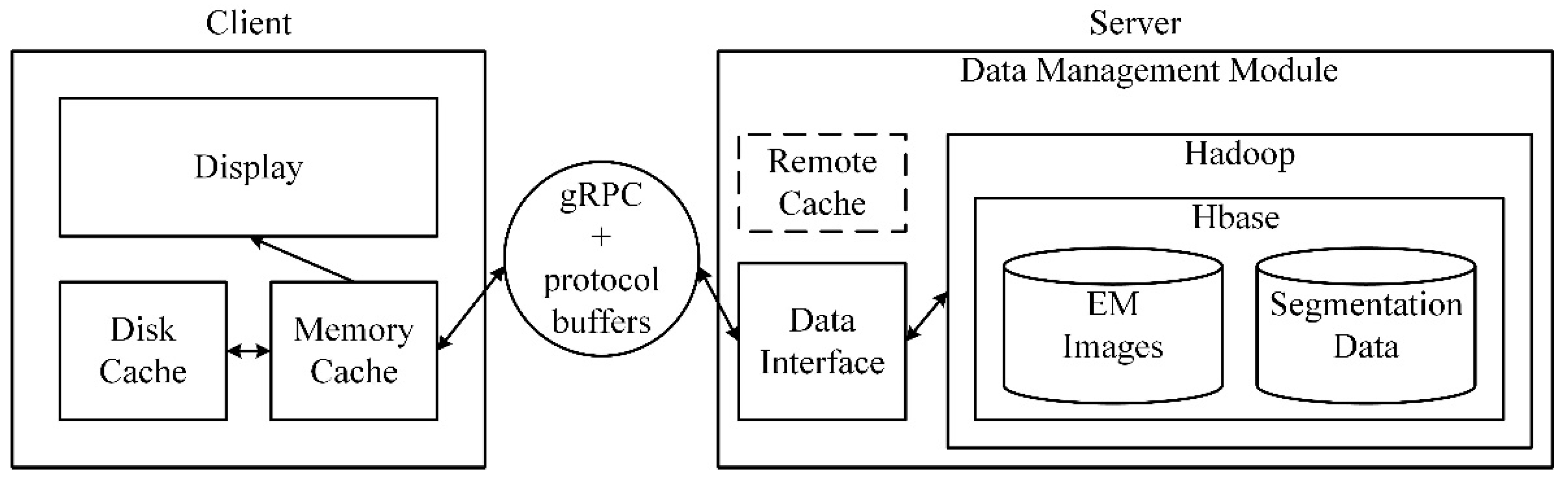 Brainsci 10 00314 g007