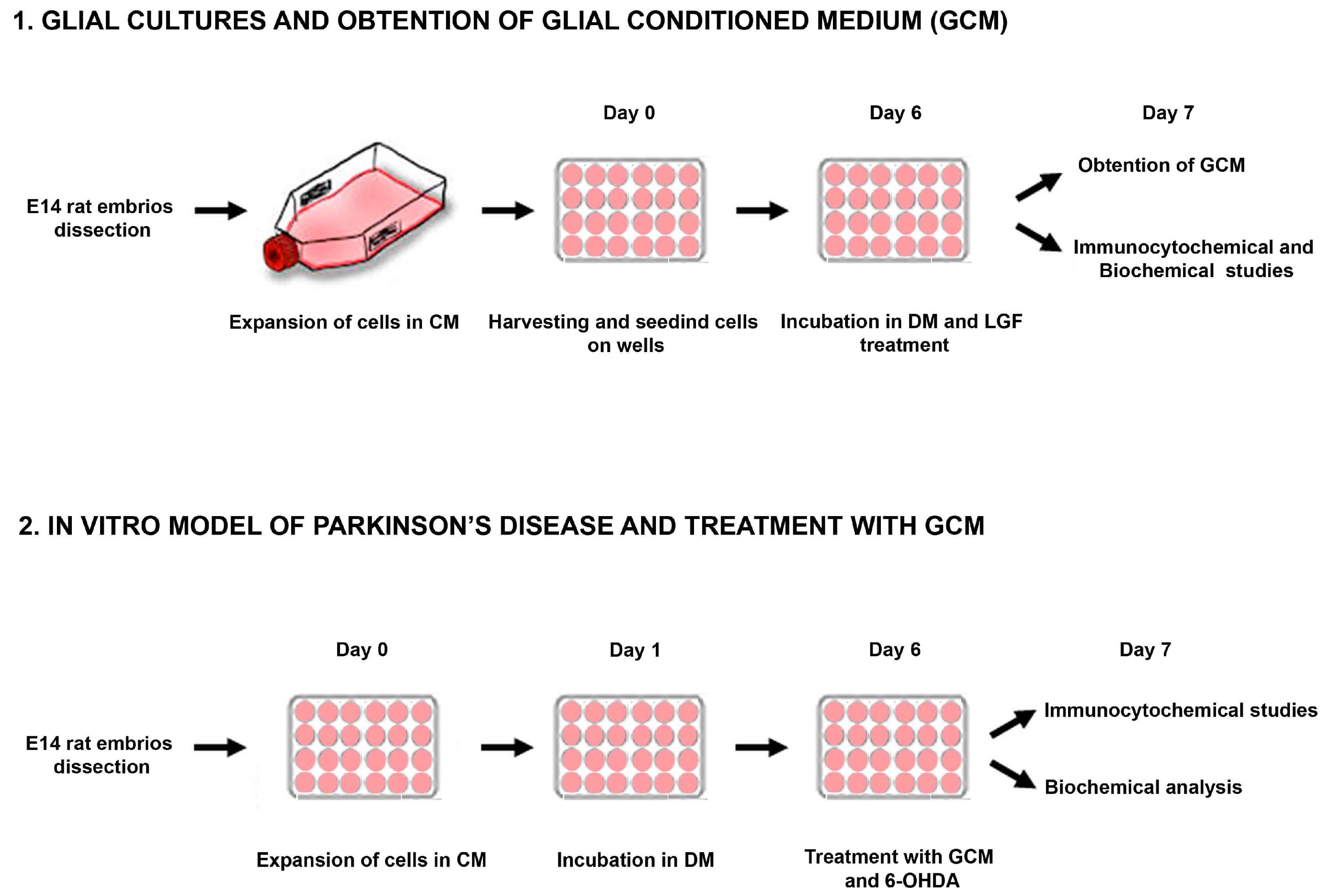 Brainsci 10 00315 g001 Brainsci 10 00315 g001