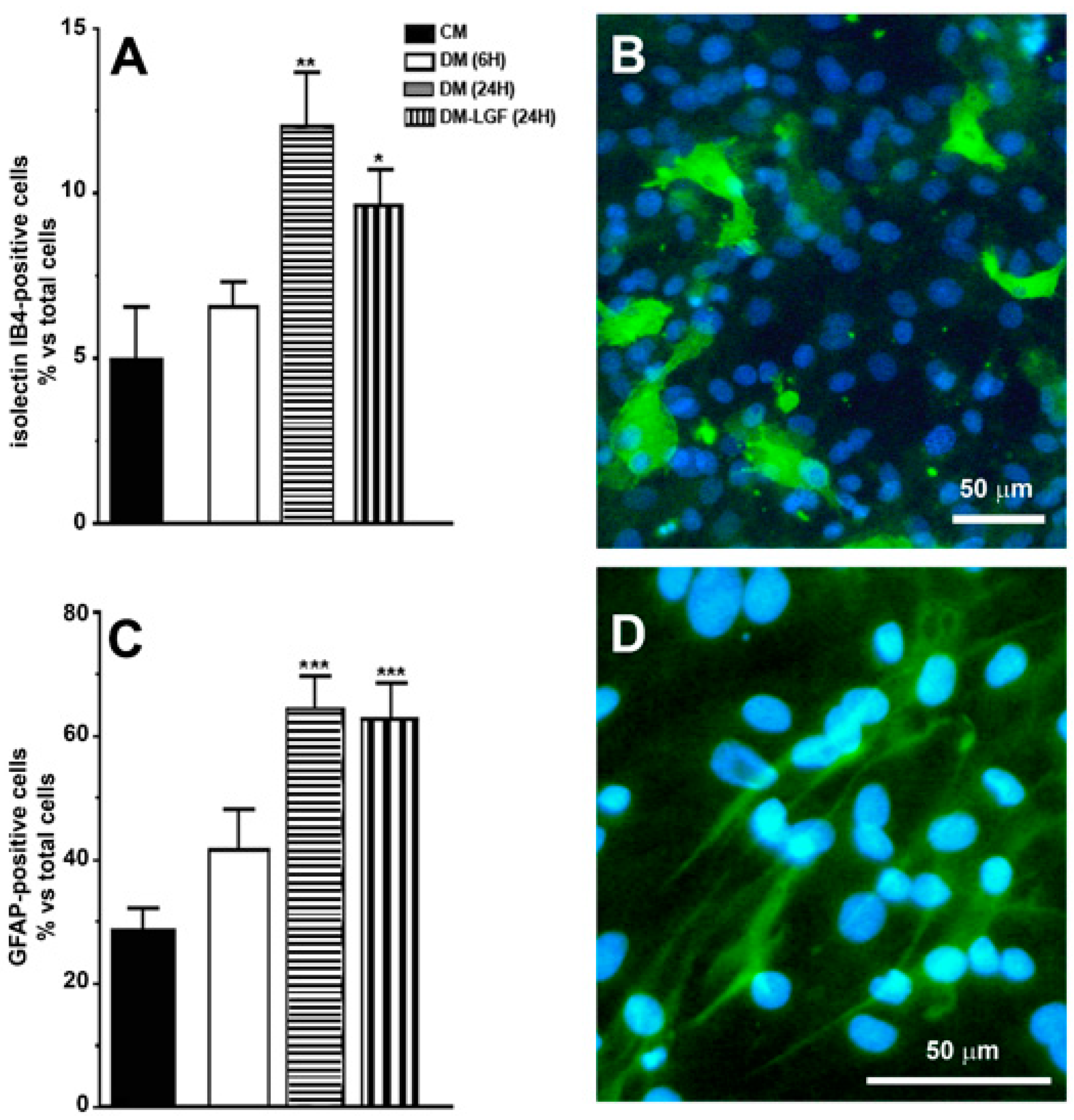 Brainsci 10 00315 g002 Brainsci 10 00315 g002