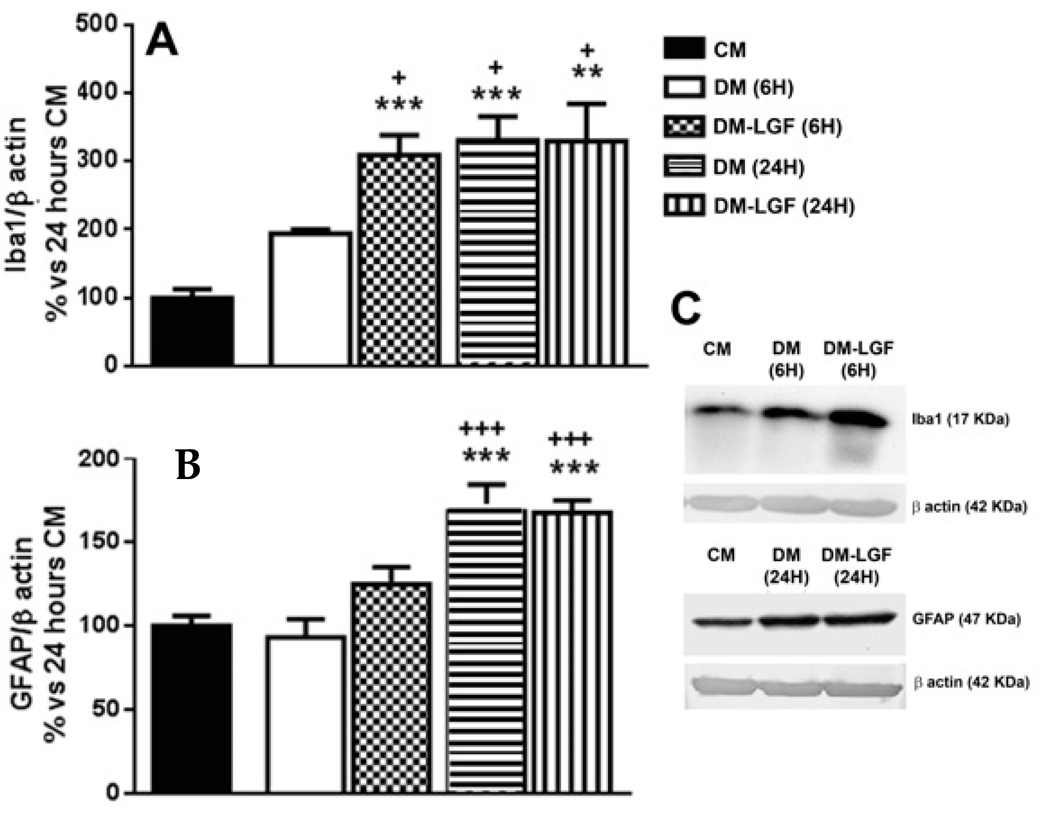 Brainsci 10 00315 g003 Brainsci 10 00315 g003