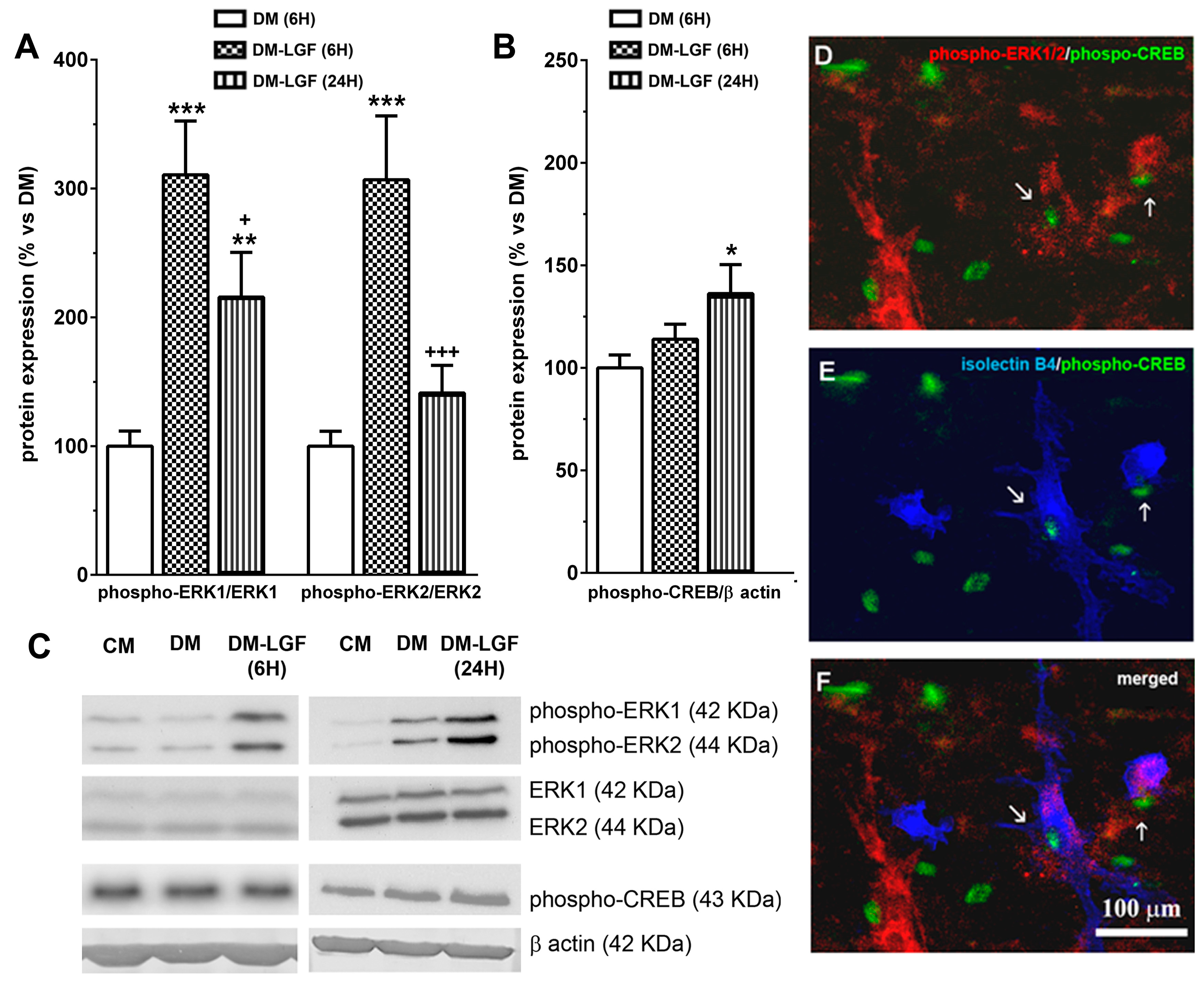 Brainsci 10 00315 g004 Brainsci 10 00315 g004