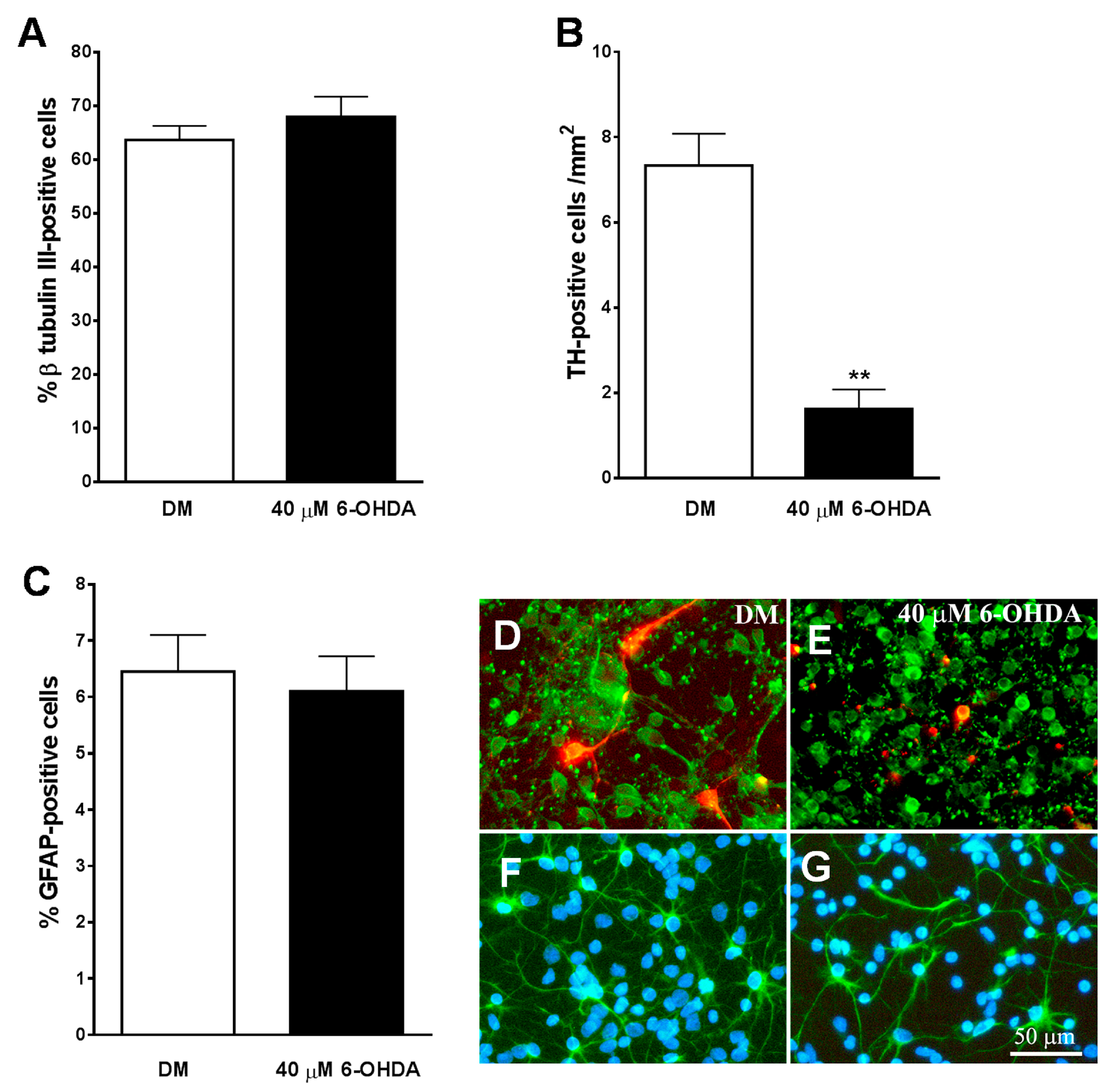 Brainsci 10 00315 g006 Brainsci 10 00315 g006