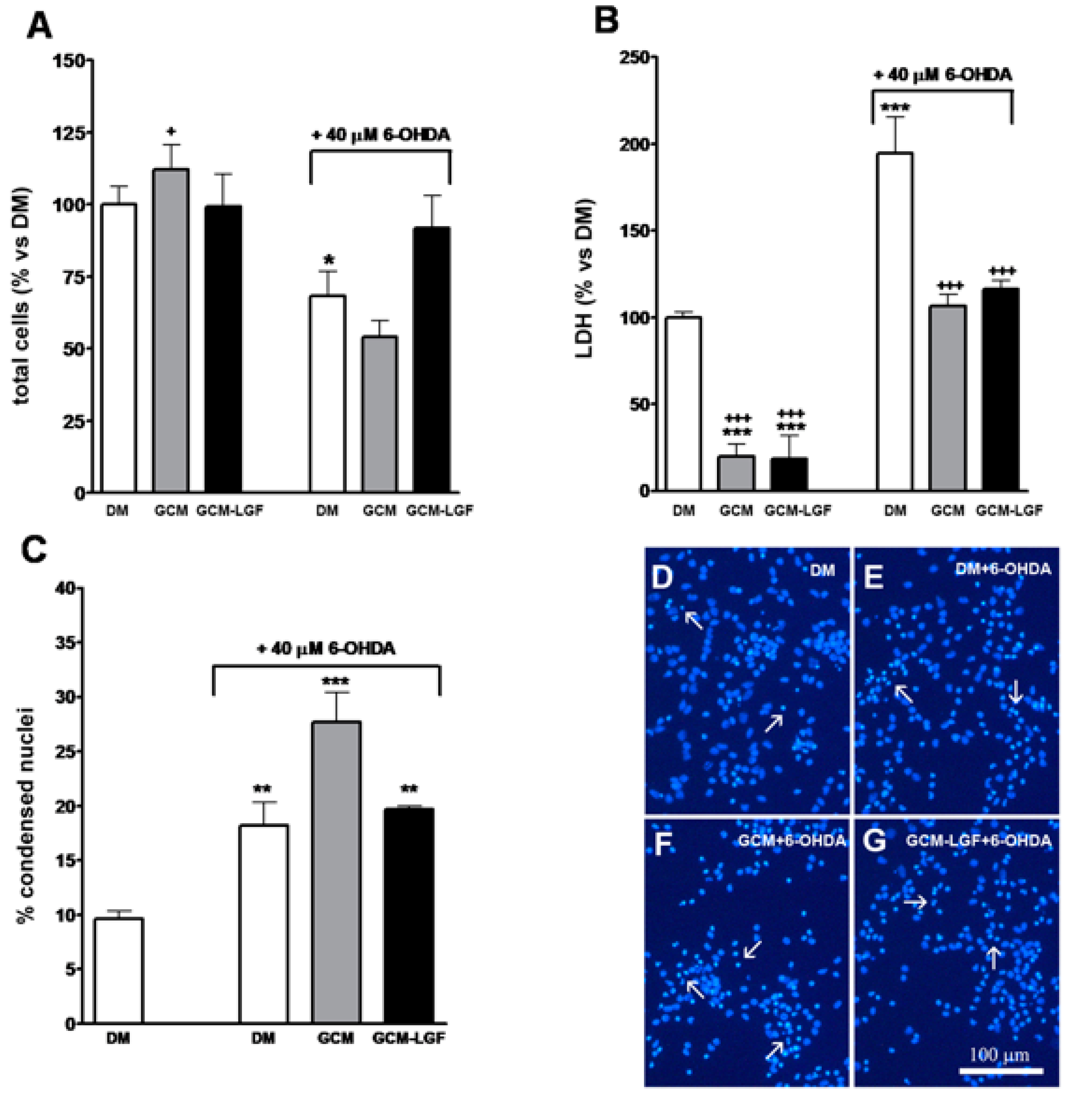 Brainsci 10 00315 g007 Brainsci 10 00315 g007