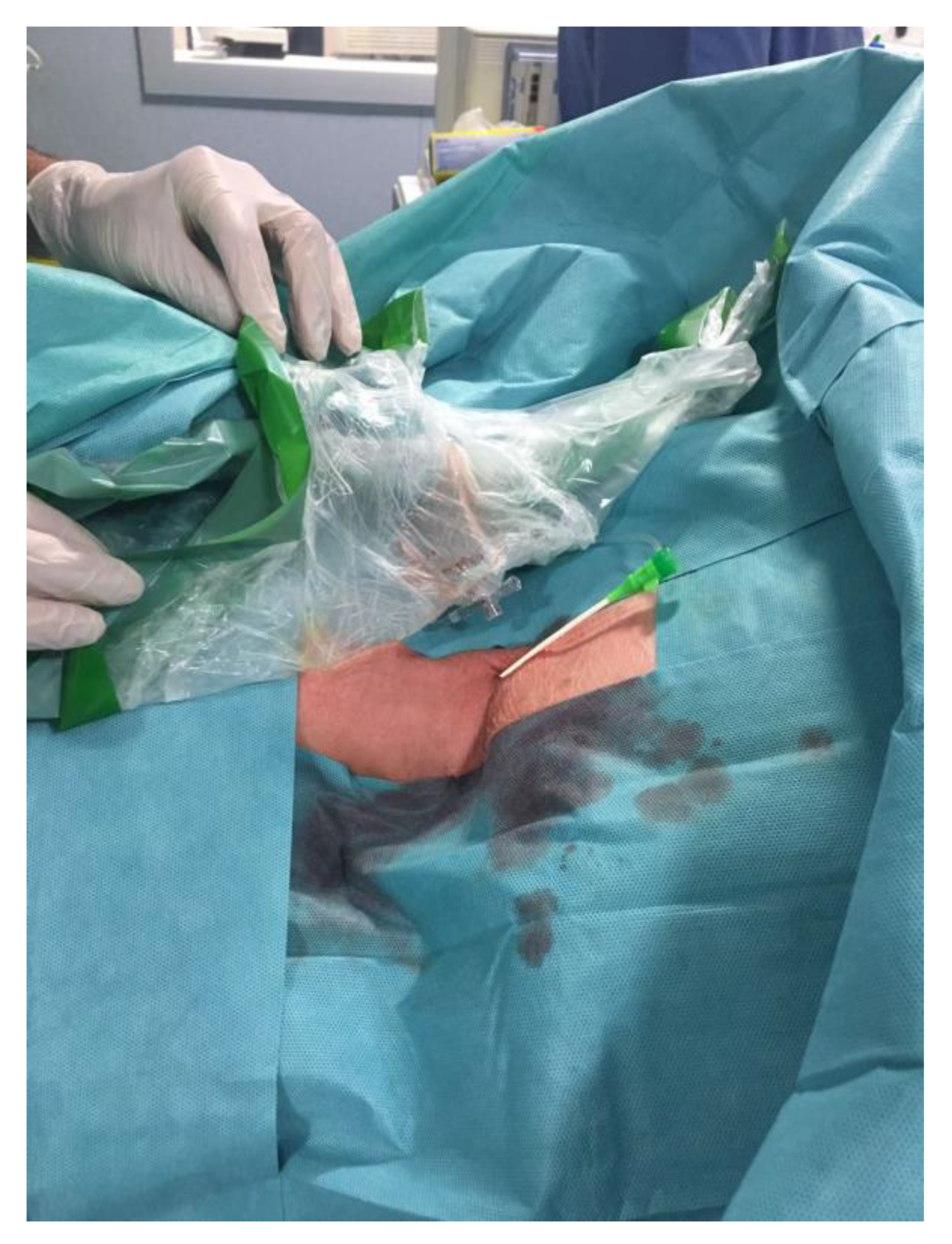 Brainsci 10 00320 g003