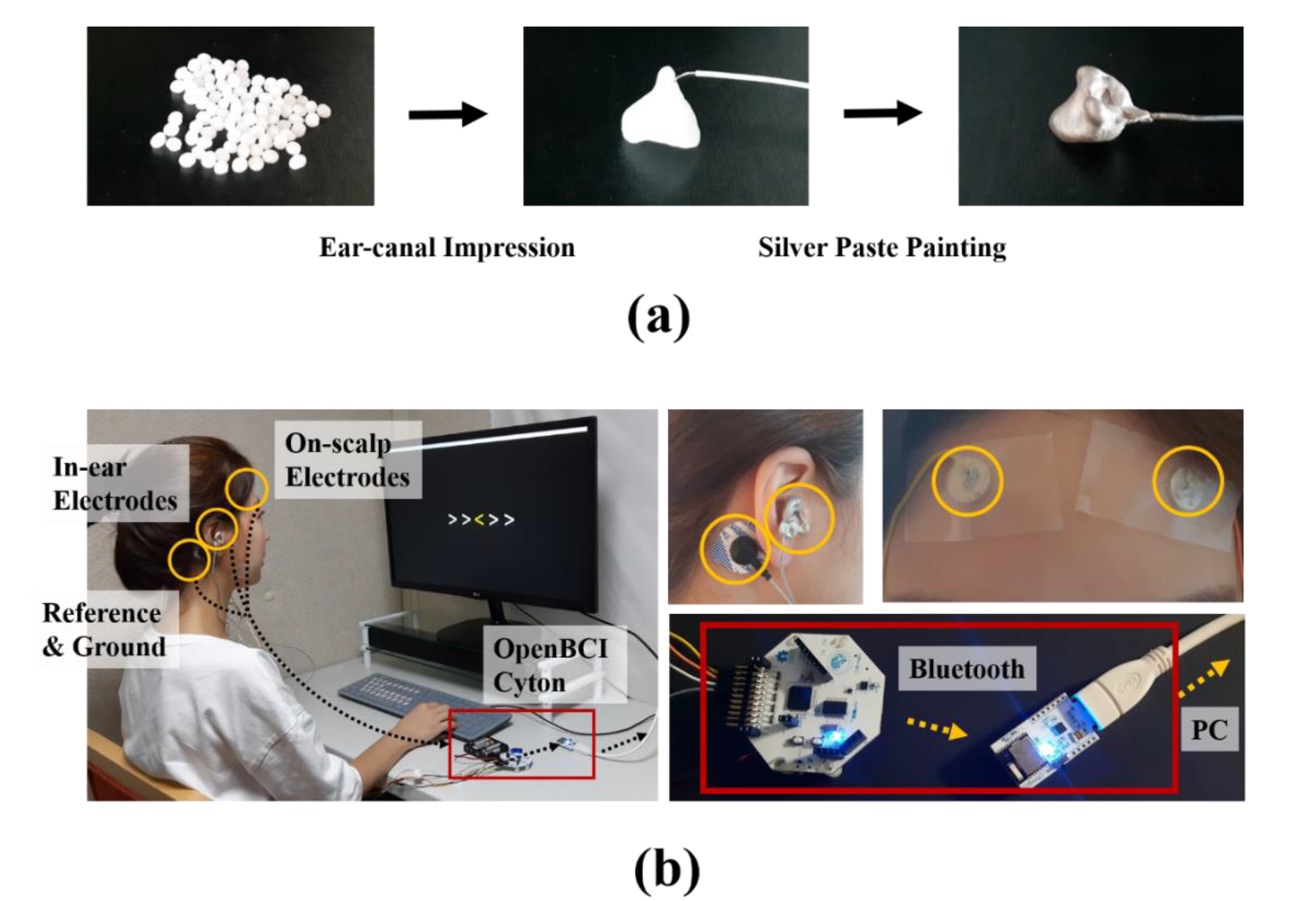 Brainsci 10 00321 g001