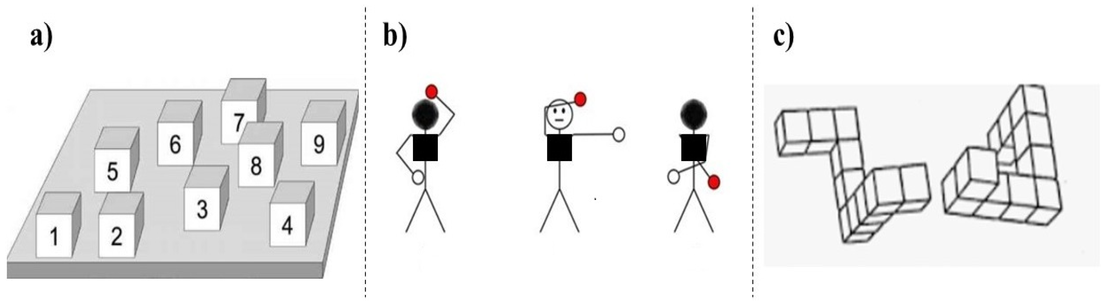 Brainsci 10 00326 g003