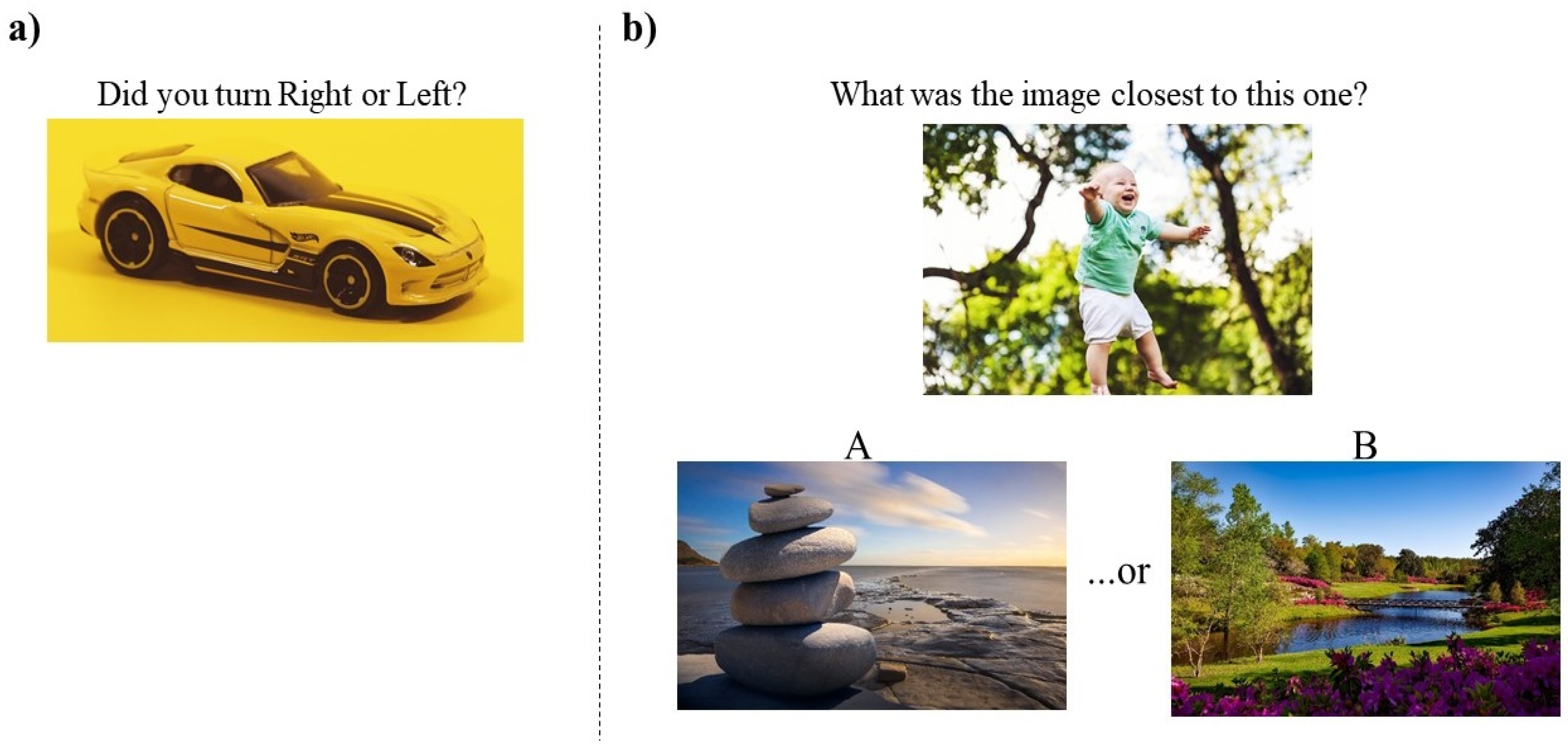 Brainsci 10 00326 g004