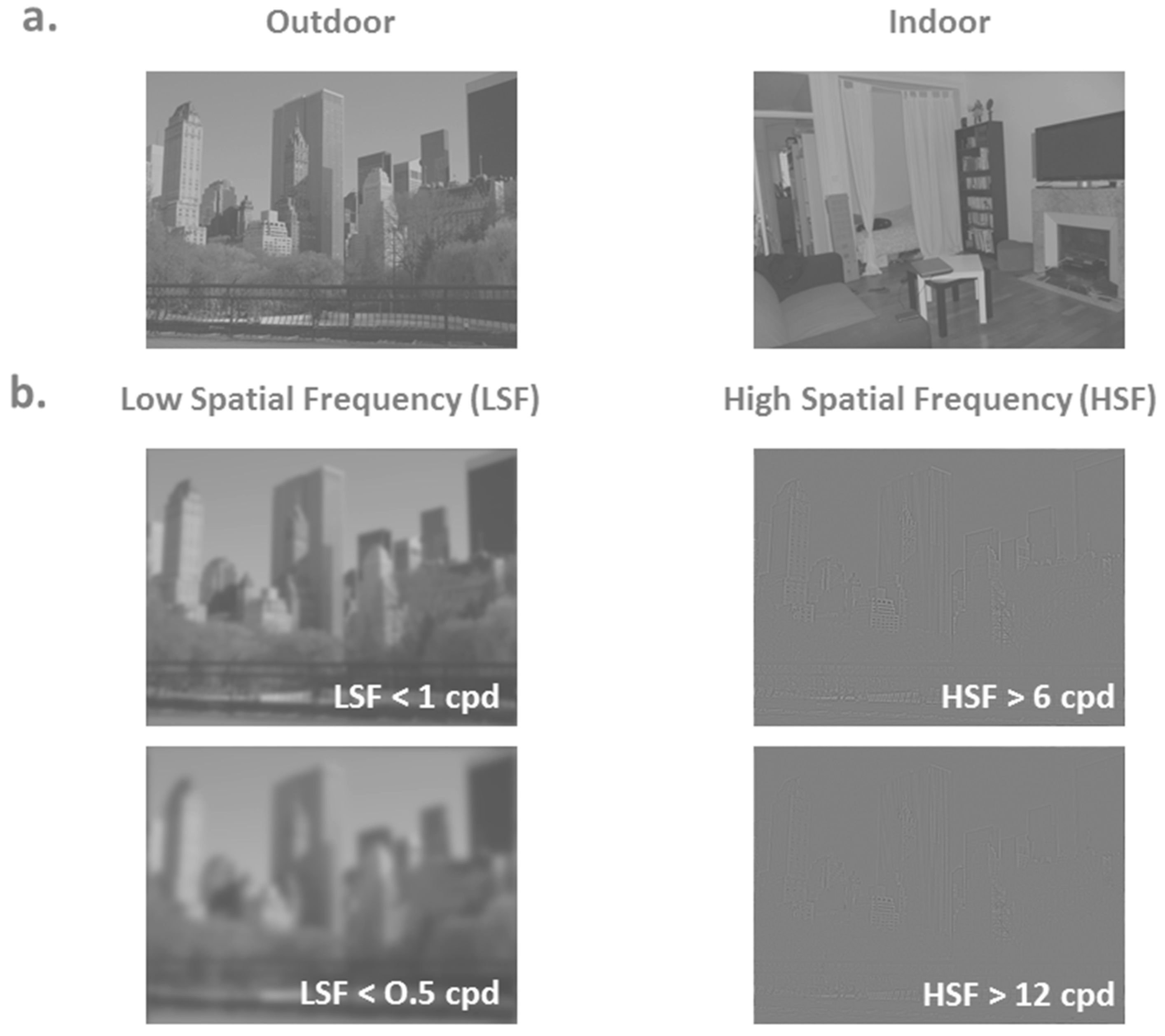 Brainsci 10 00329 g001 Brainsci 10 00329 g001