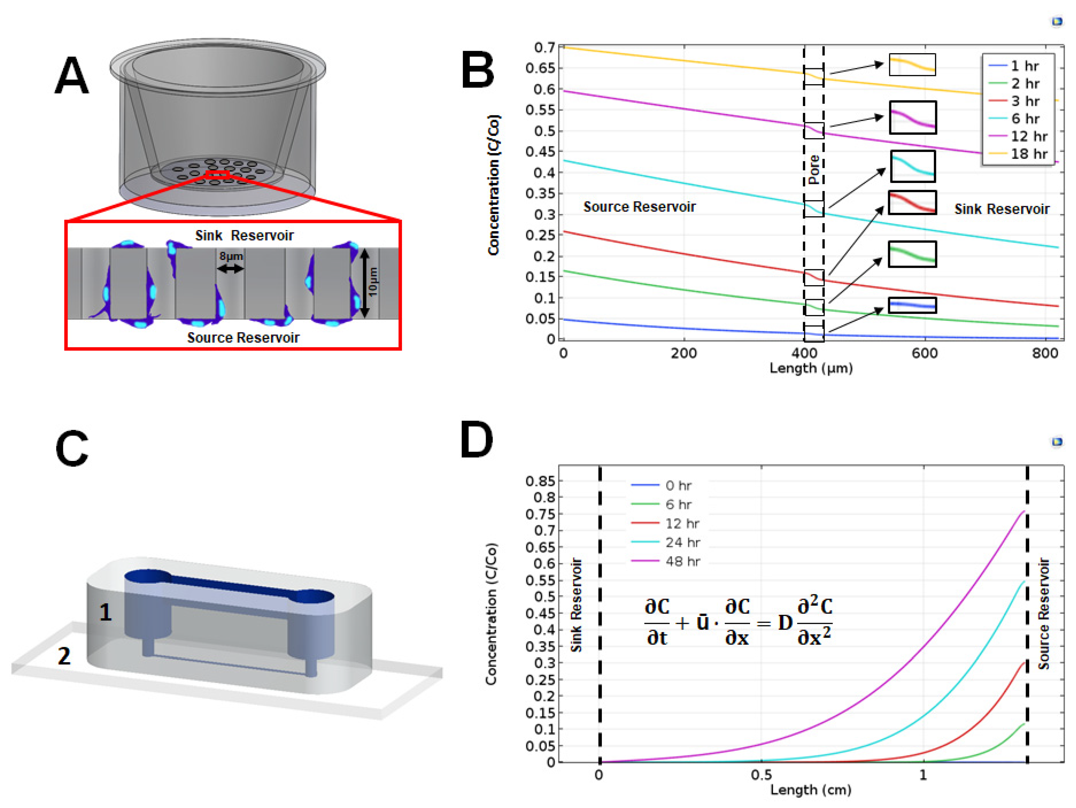 Brainsci 10 00330 g002 Brainsci 10 00330 g002