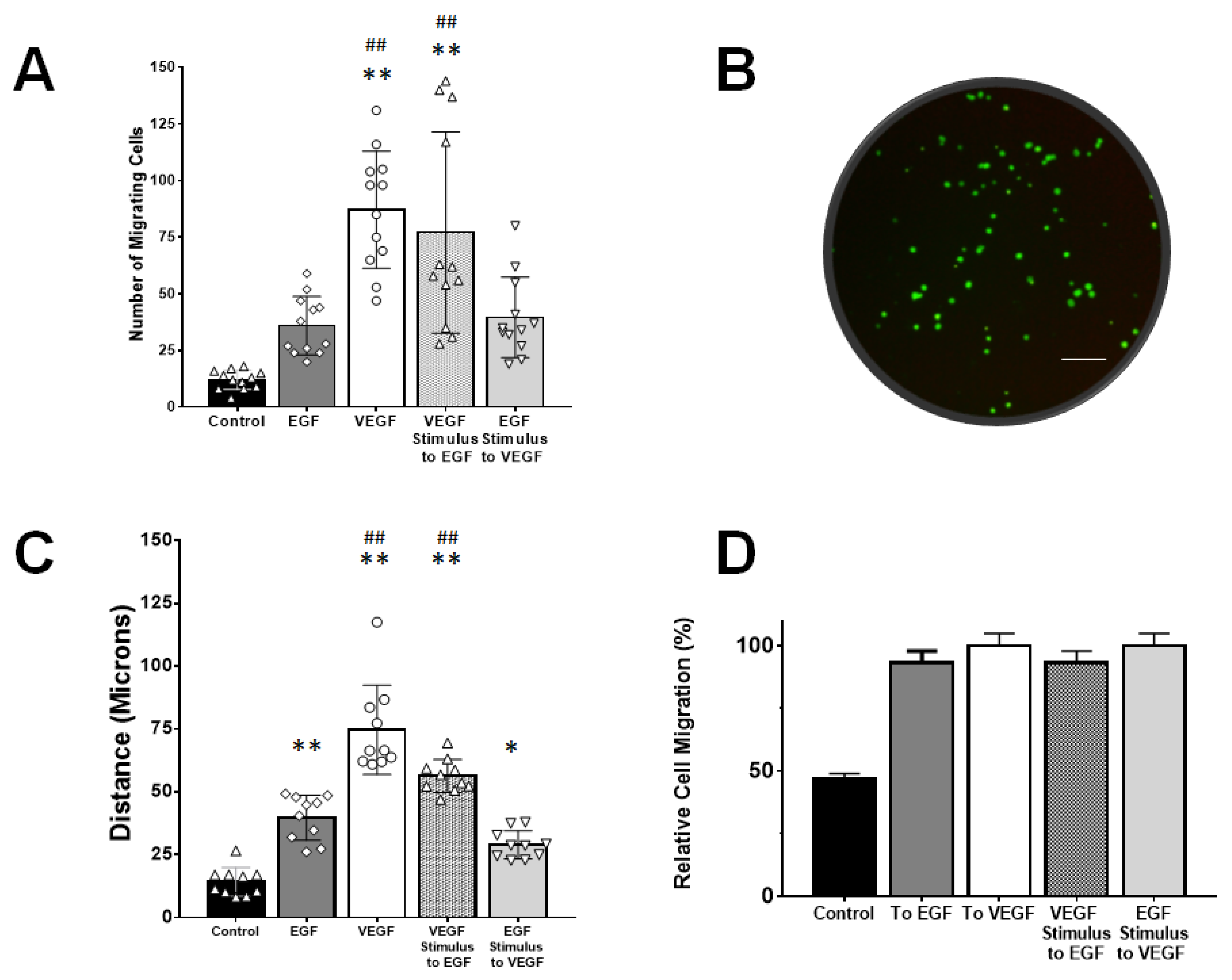 Brainsci 10 00330 g004 Brainsci 10 00330 g004