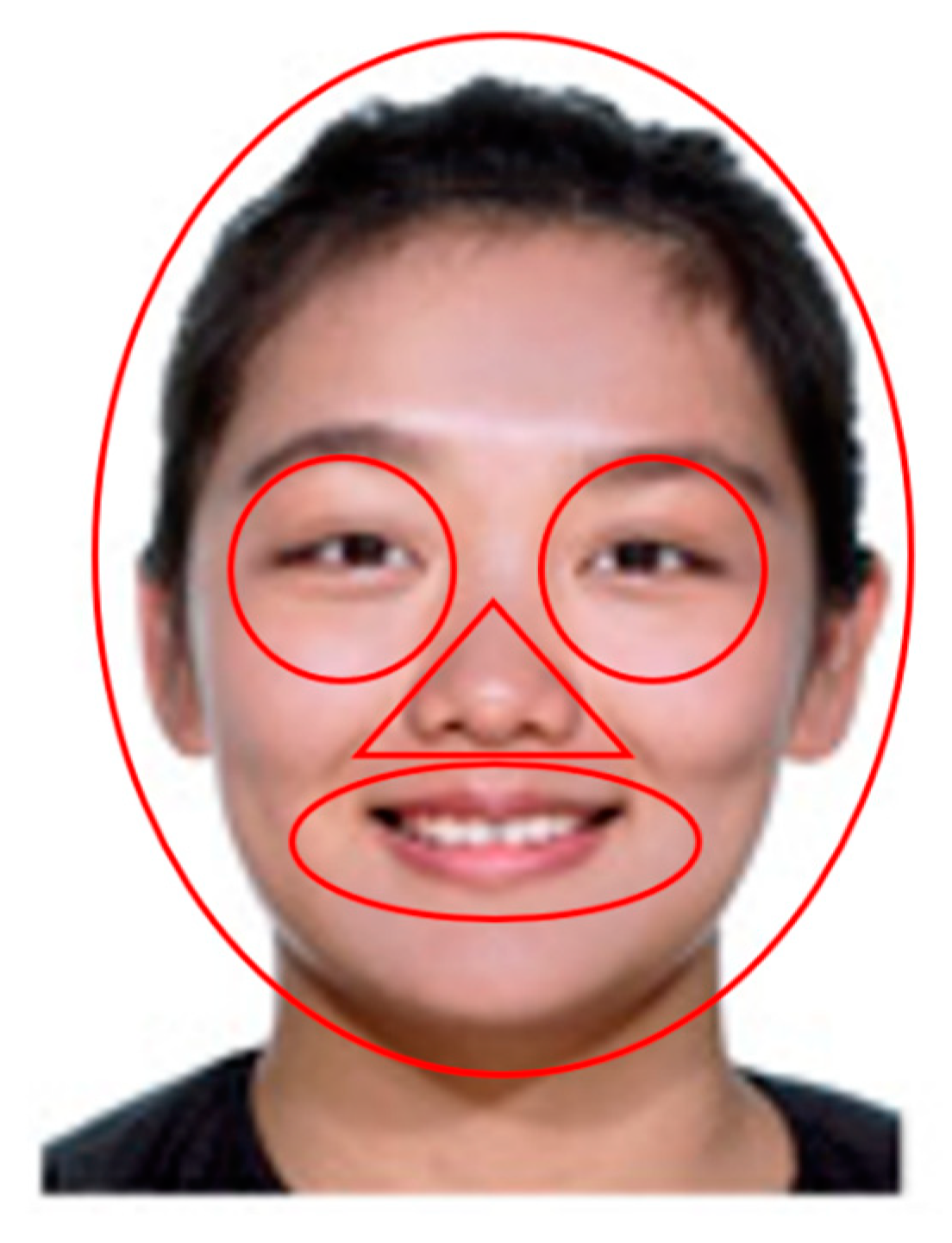 Brainsci 10 00331 g002