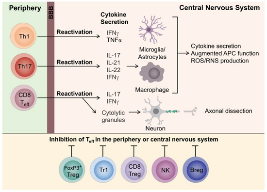 brainsci-10-00333-g002-550.jpg