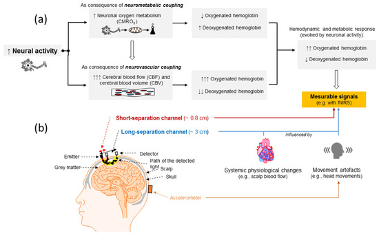 Advances in Exercise Prescription: Smart Workout Equipment Self-Adjusts for  Each Patients Regimen