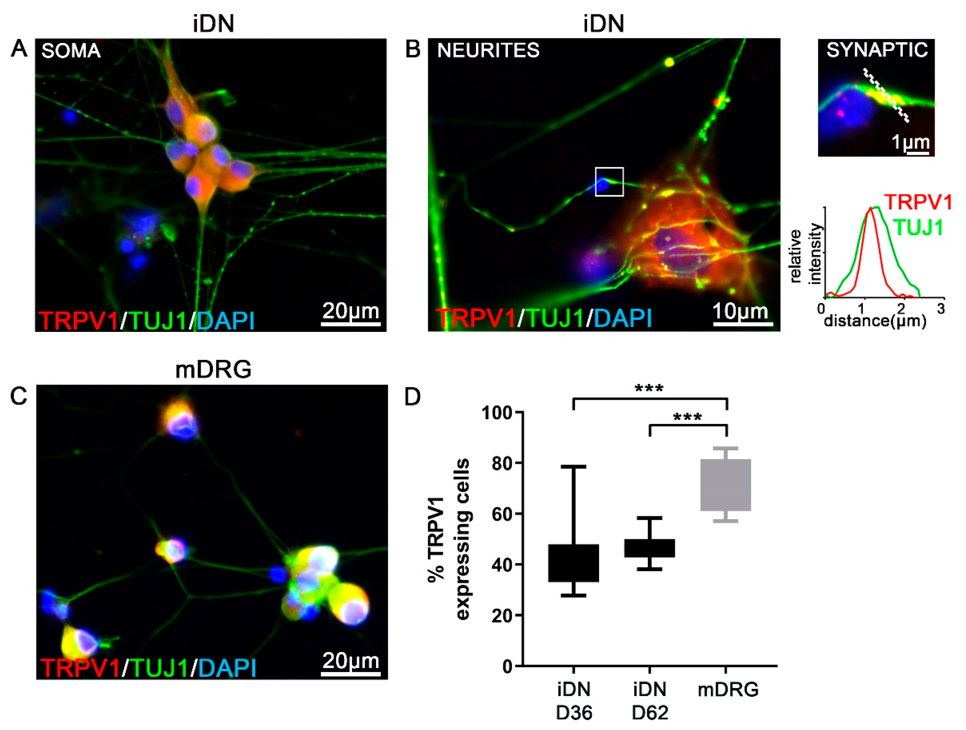 Brainsci 10 00344 g003