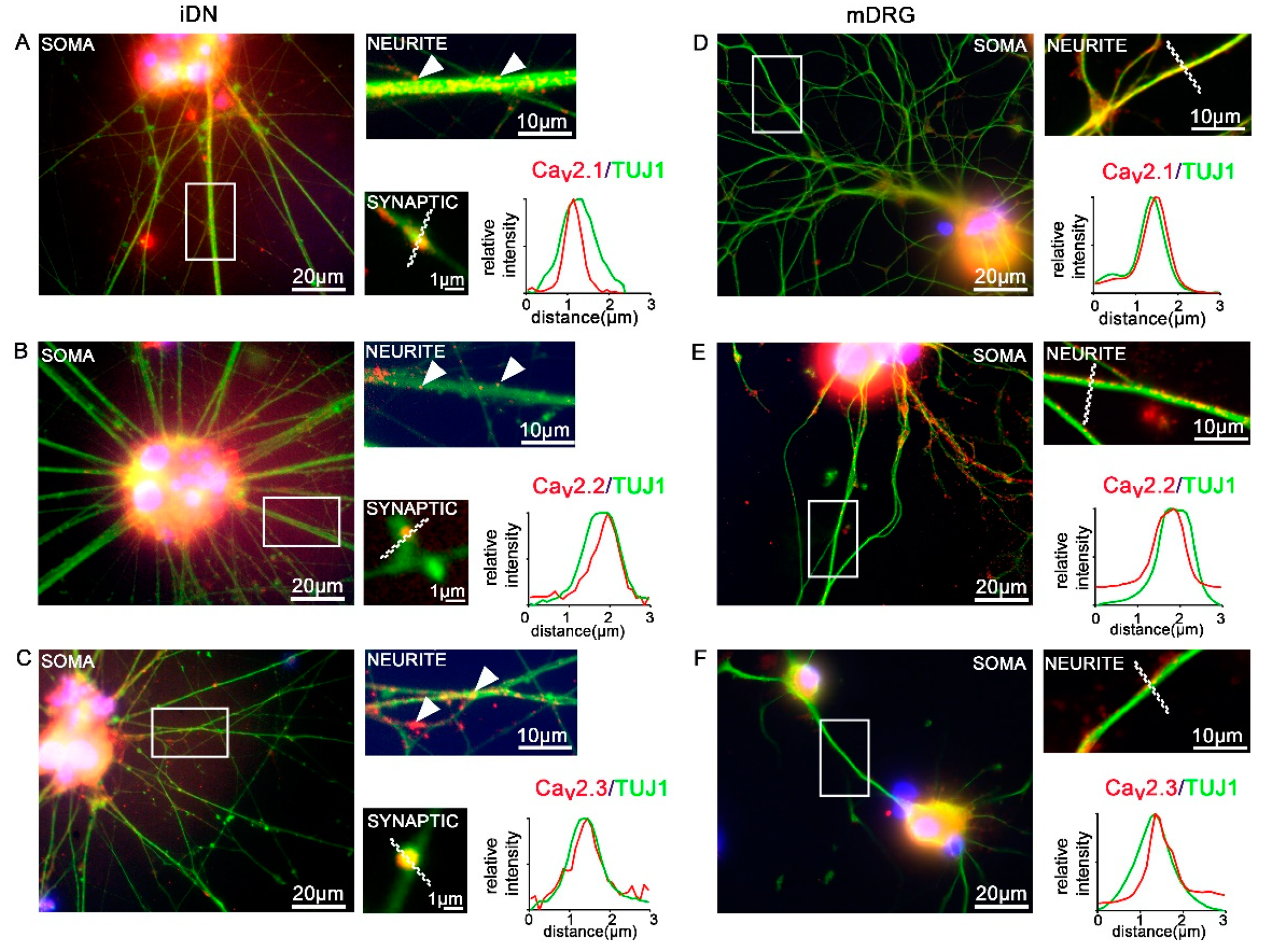 Brainsci 10 00344 g006