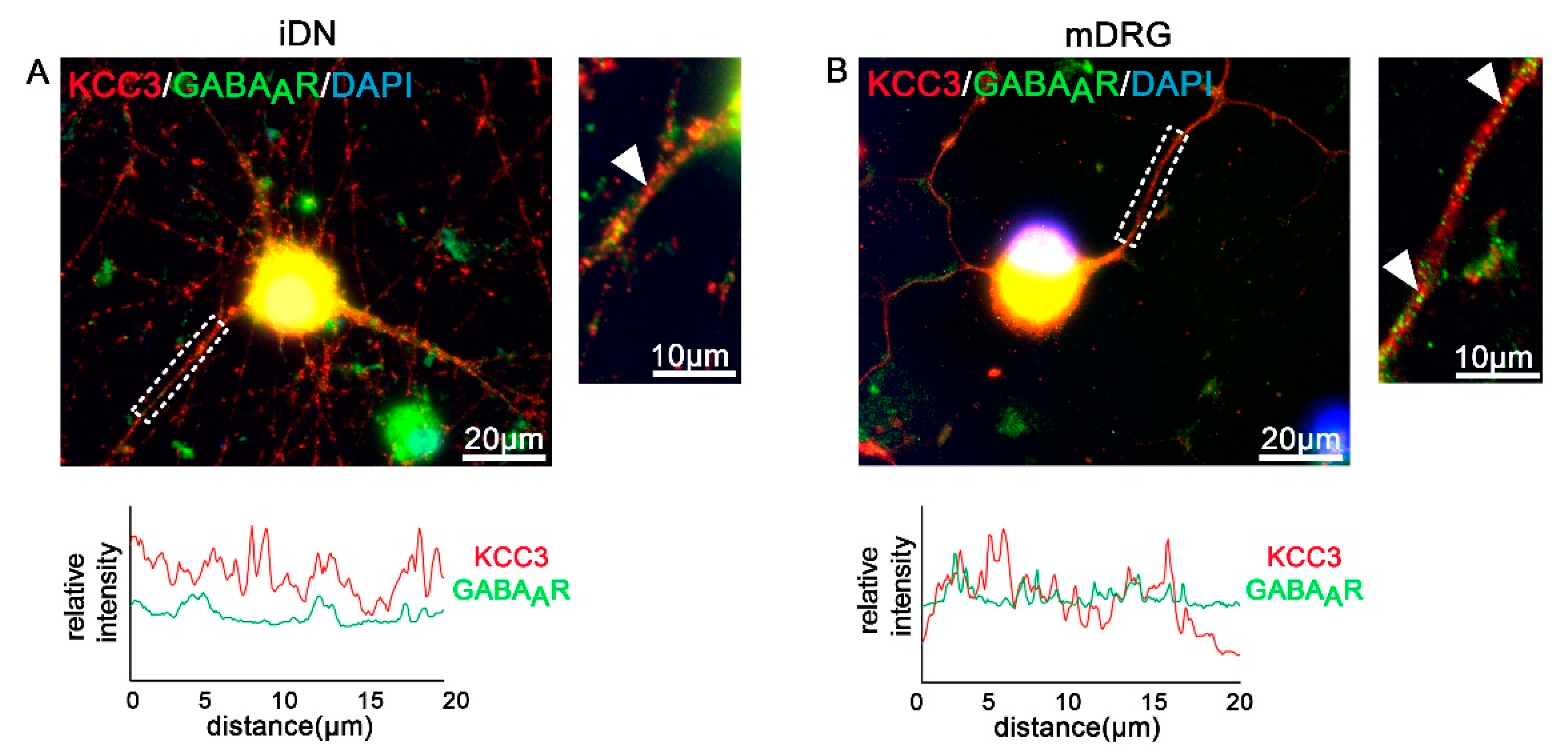 Brainsci 10 00344 g007