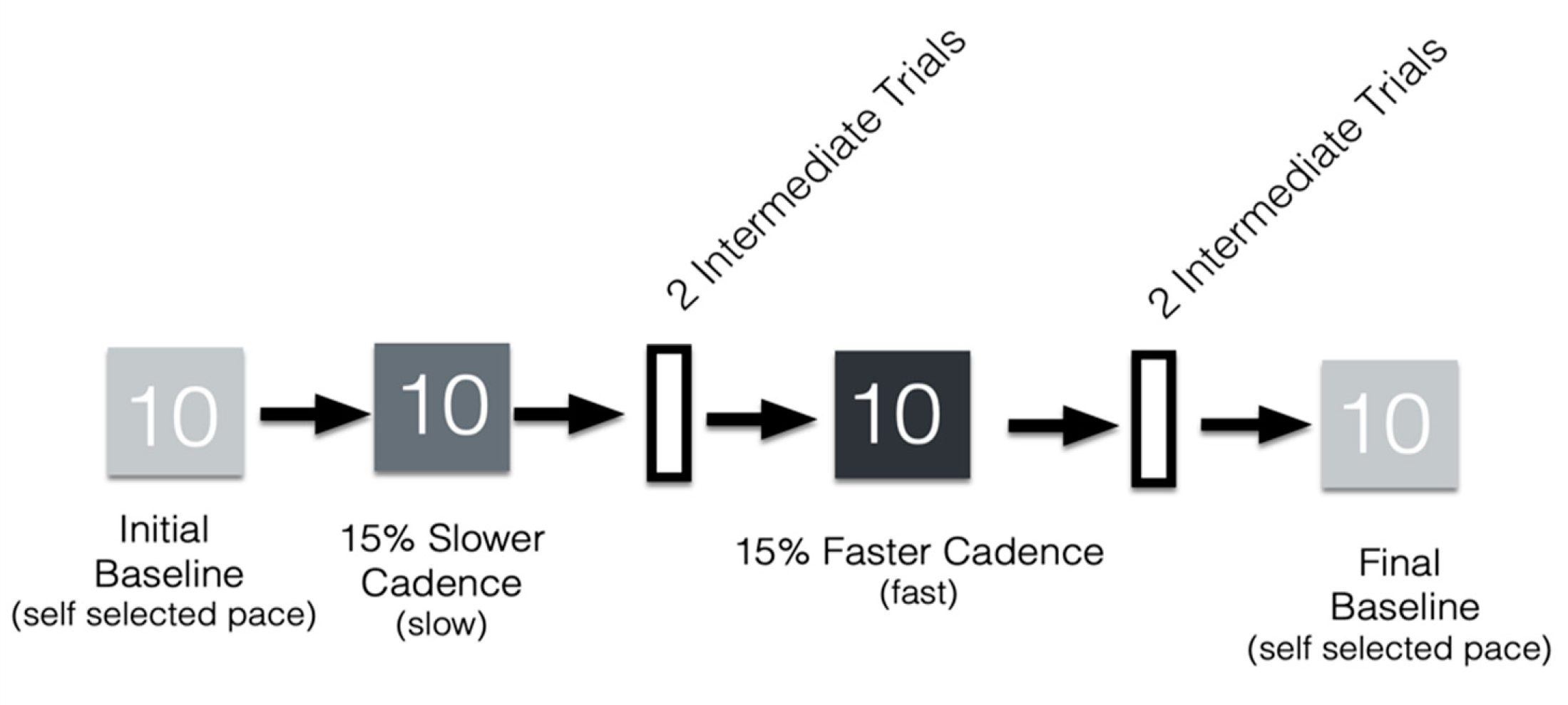 Brainsci 10 00347 g001