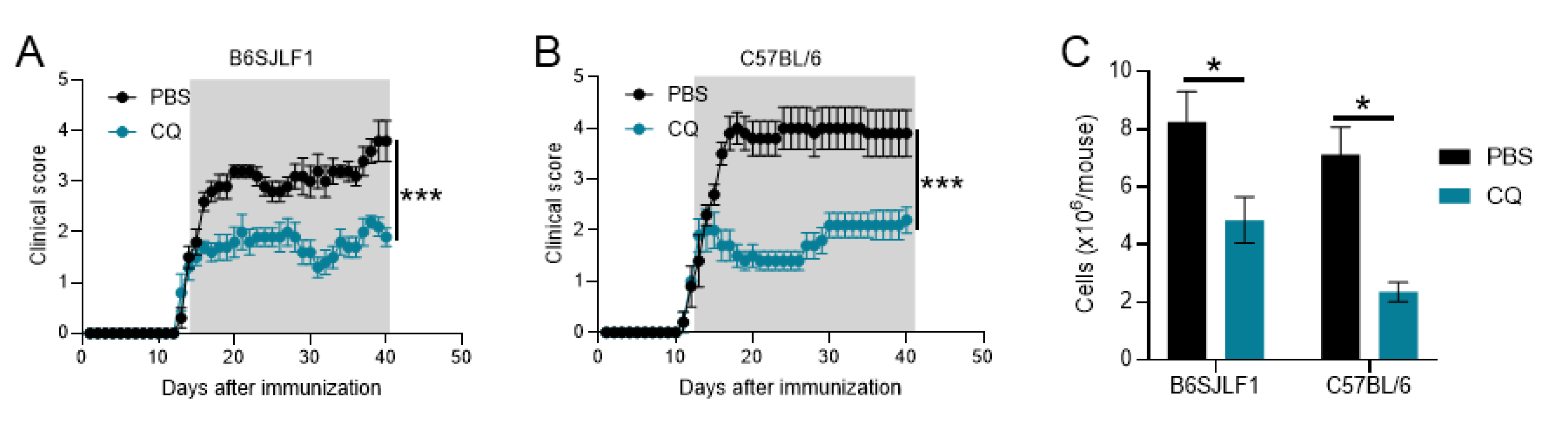 Brainsci 10 00348 g001